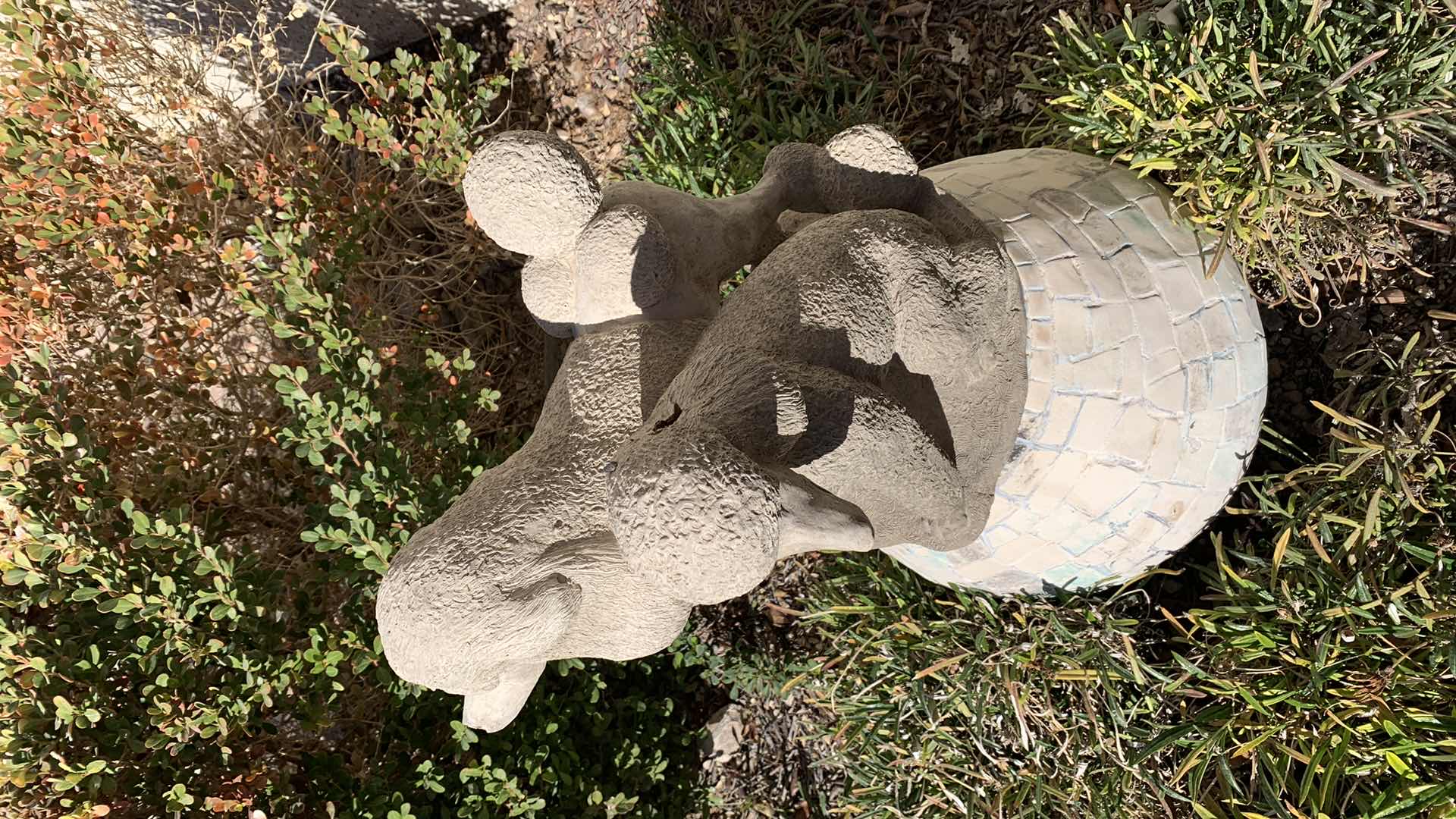 Photo 2 of CONCRETE POODLE SCULPTURE 16” TALL