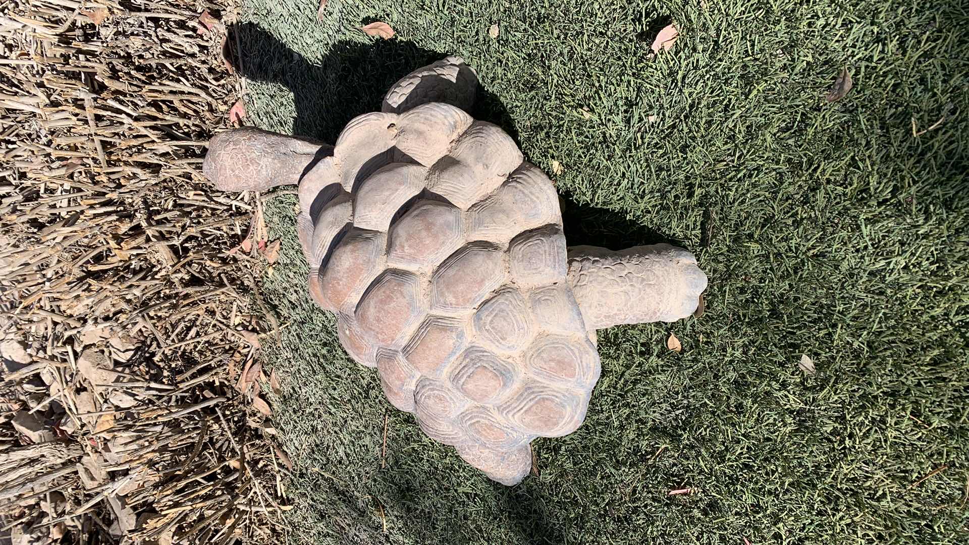 Photo 1 of CONCRETE DESERT TURTLE 16” X 9”