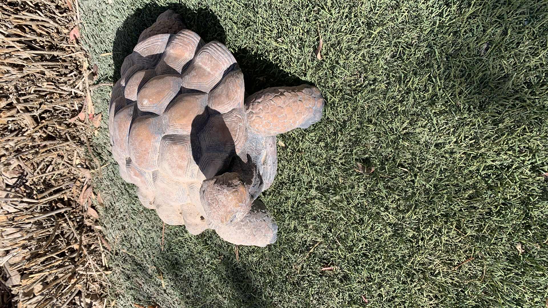 Photo 1 of CONCRETE DESERT TURTLE 16” X 9”