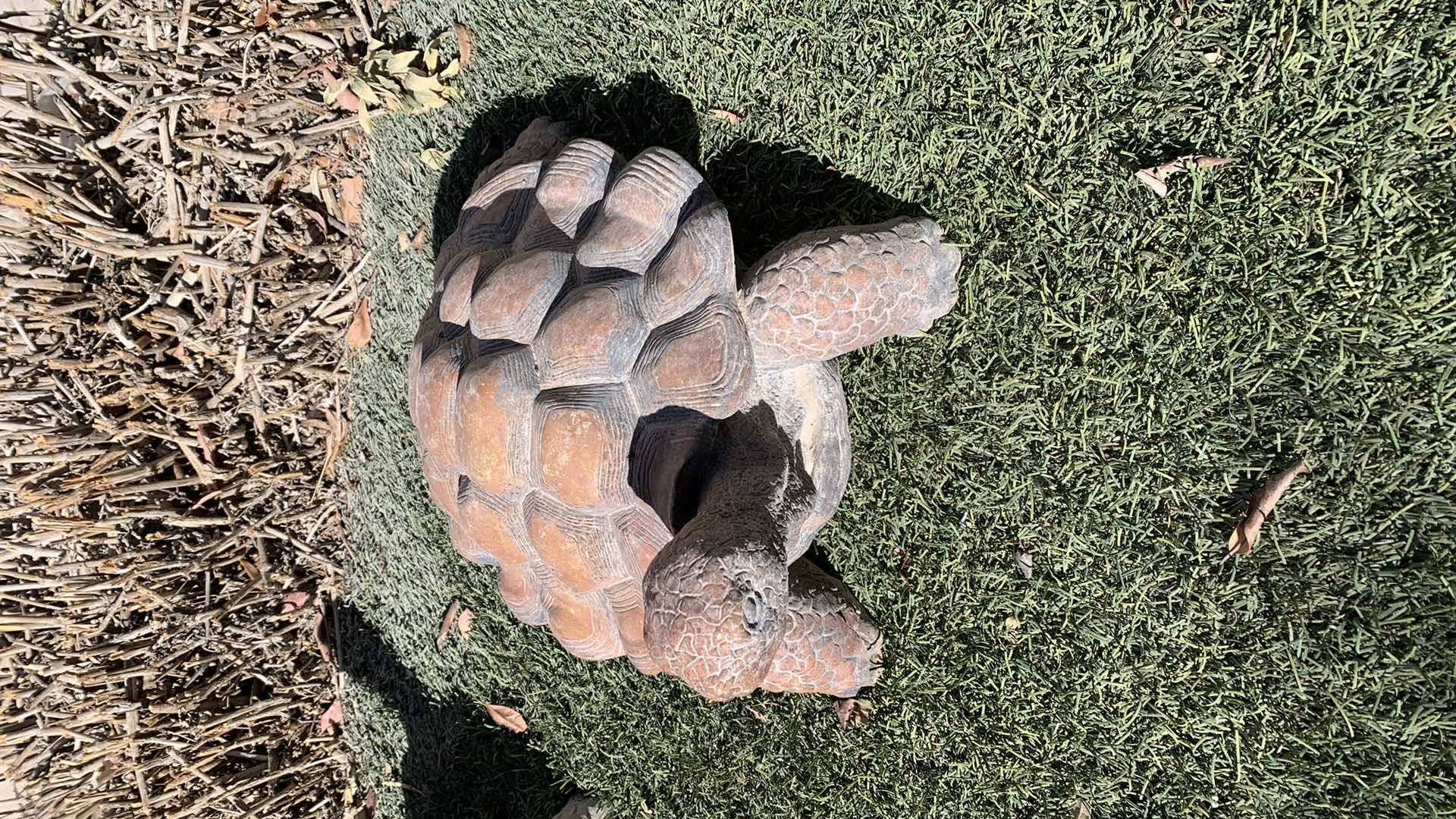 Photo 1 of CONCRETE DESERT TURTLE 16” X 9”