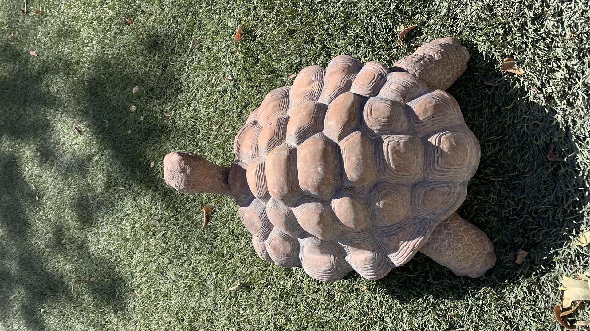 Photo 1 of CONCRETE DESERT TURTLE 16” X 9”