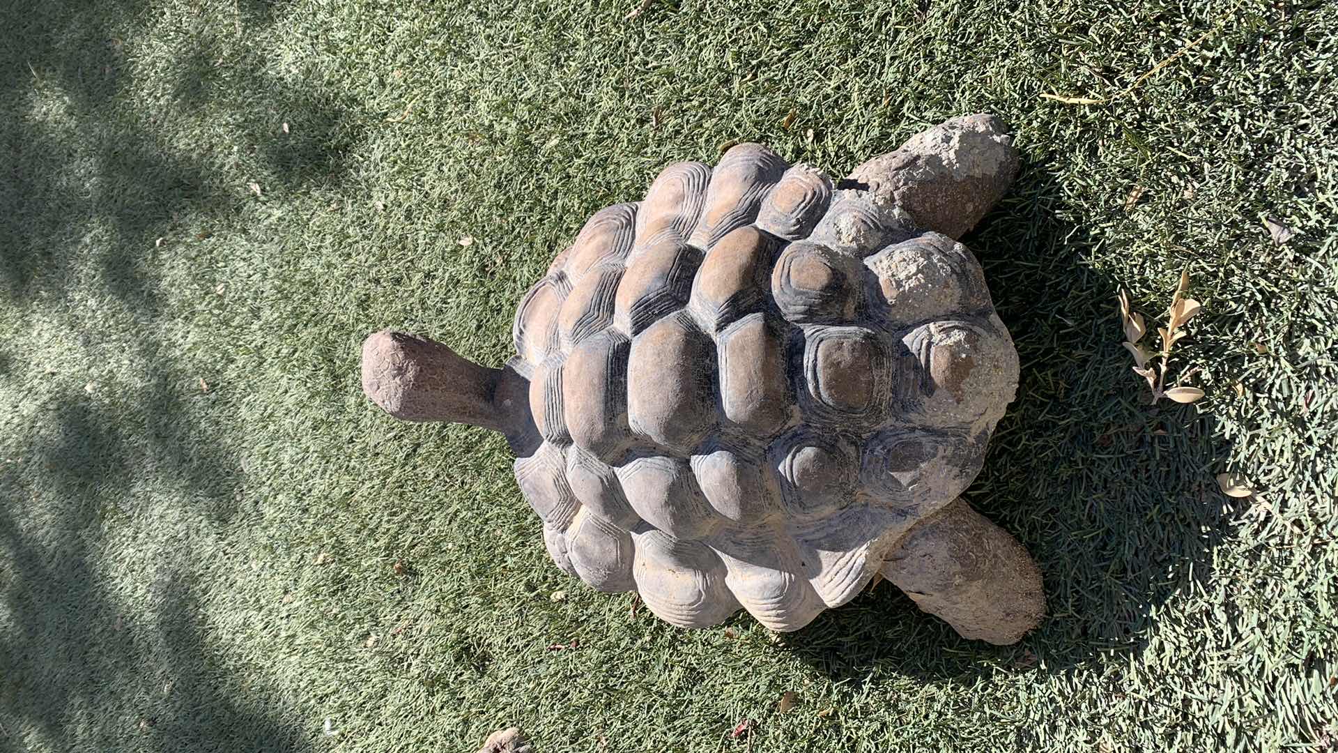 Photo 1 of CONCRETE DESERT TURTLE 16” X 9”