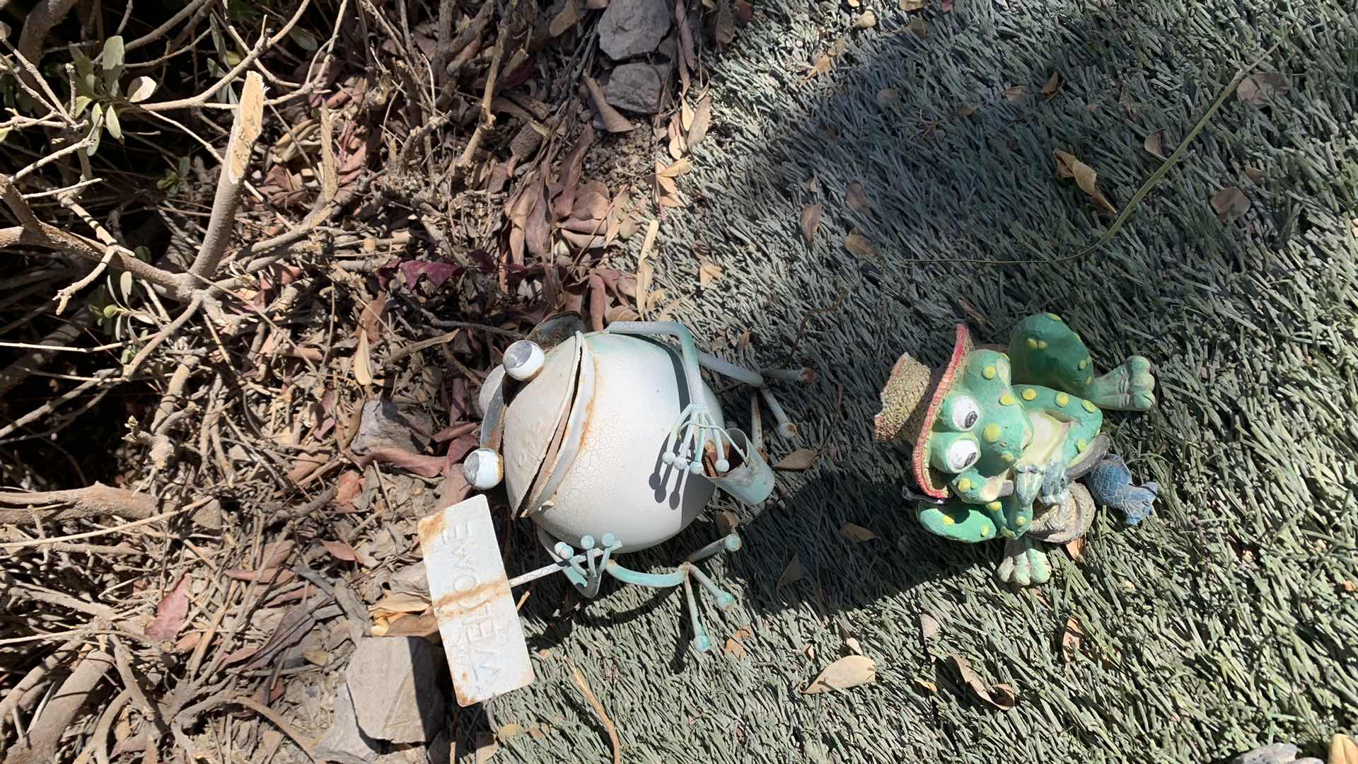 Photo 3 of BACKYARD DECOR FROGS AND TURTLES