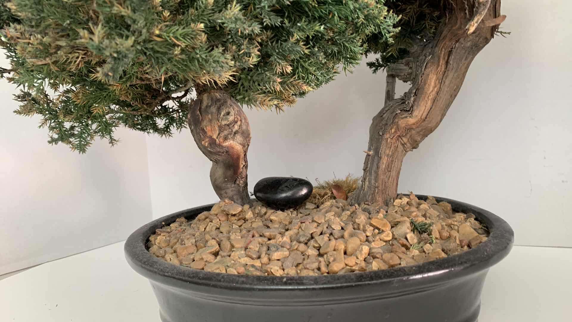 Photo 1 of FAUX BONSAI TREE  14” X 19”