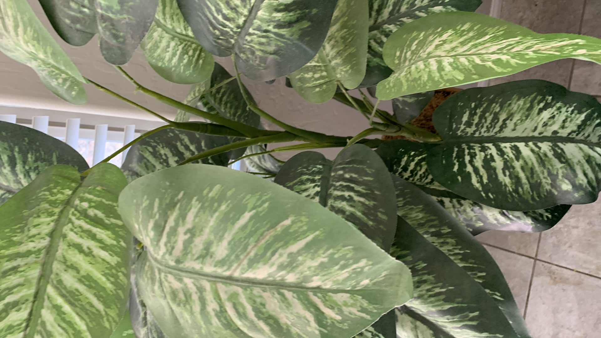 Photo 3 of FAUX PLANT AND PLANT STAND