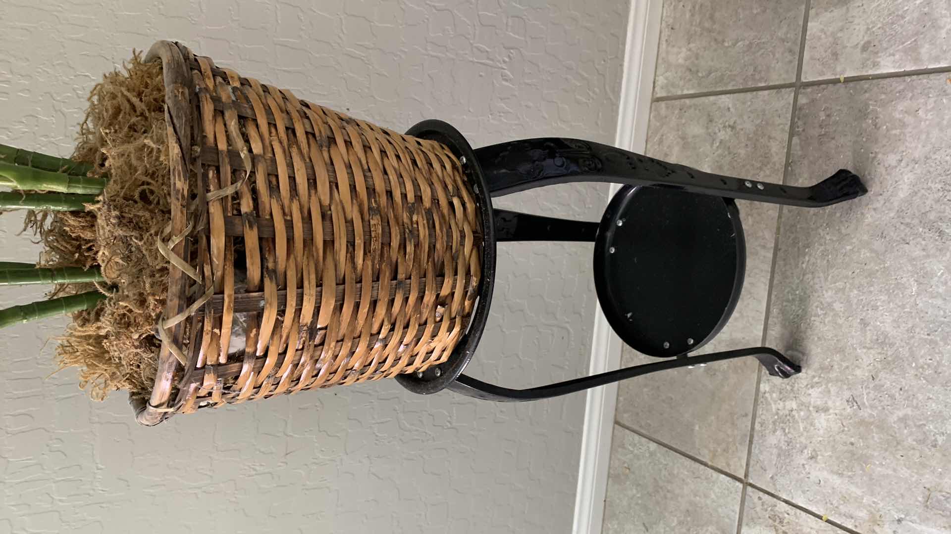 Photo 1 of FAUX PLANT AND PLANT STAND