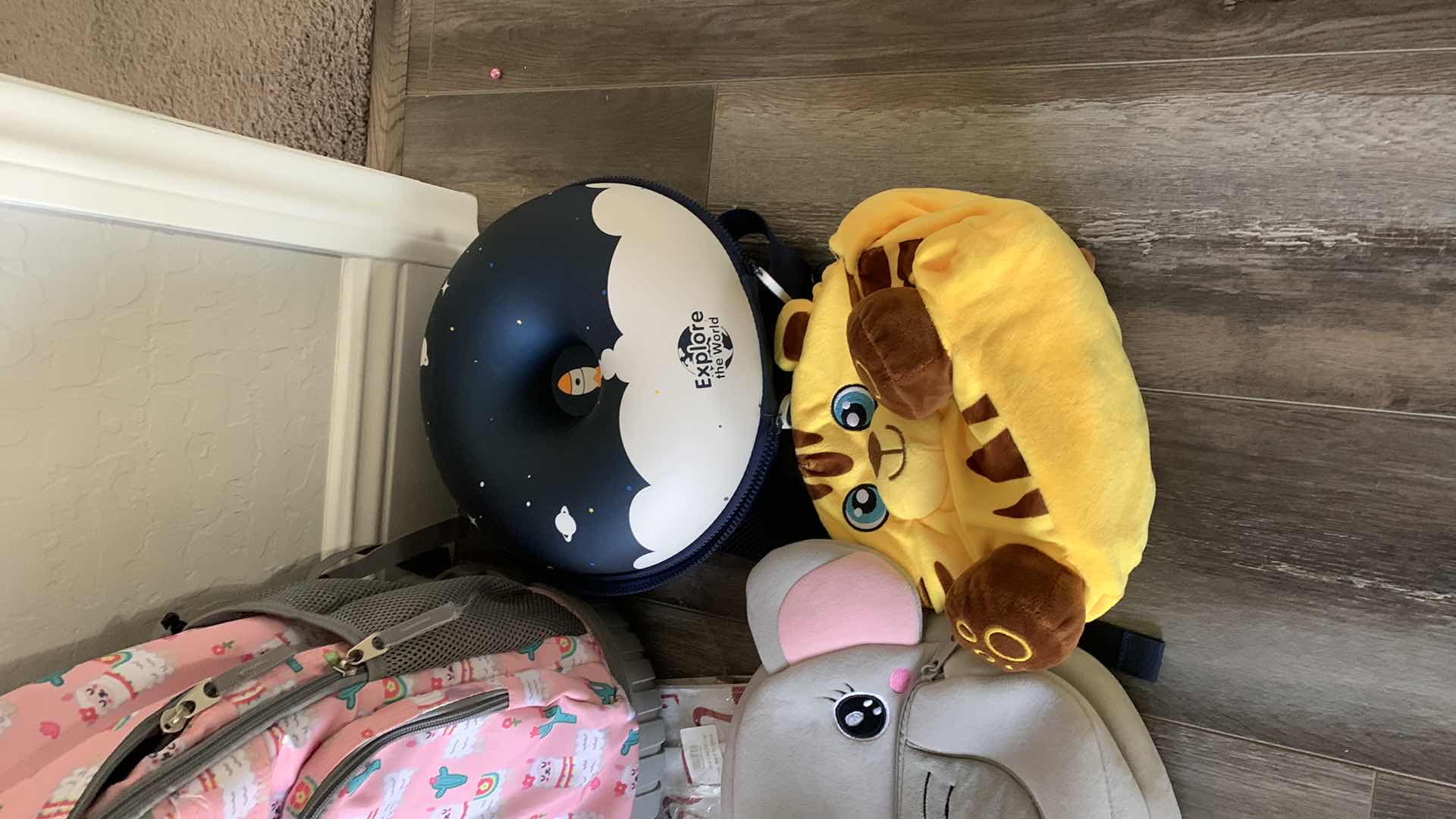 Photo 1 of KIDS BAGS