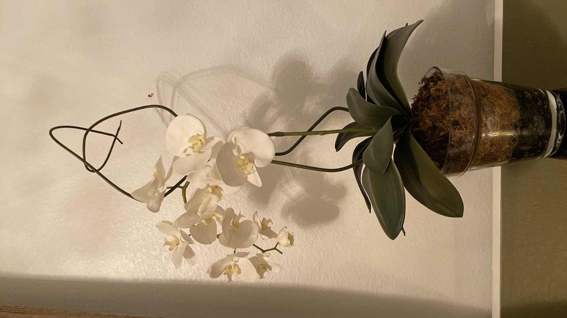 Photo 1 of FAUX ORCHID IN GLASS POT,  8” X 8”, OVERALL H 34 1/2”