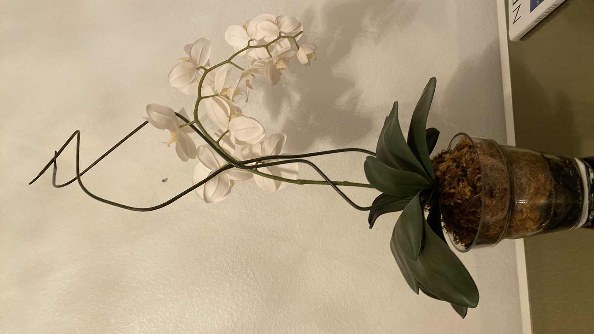 Photo 1 of FAUX ORCHID IN GLASS POT,  8” X 8”, OVERALL H 34 1/2”