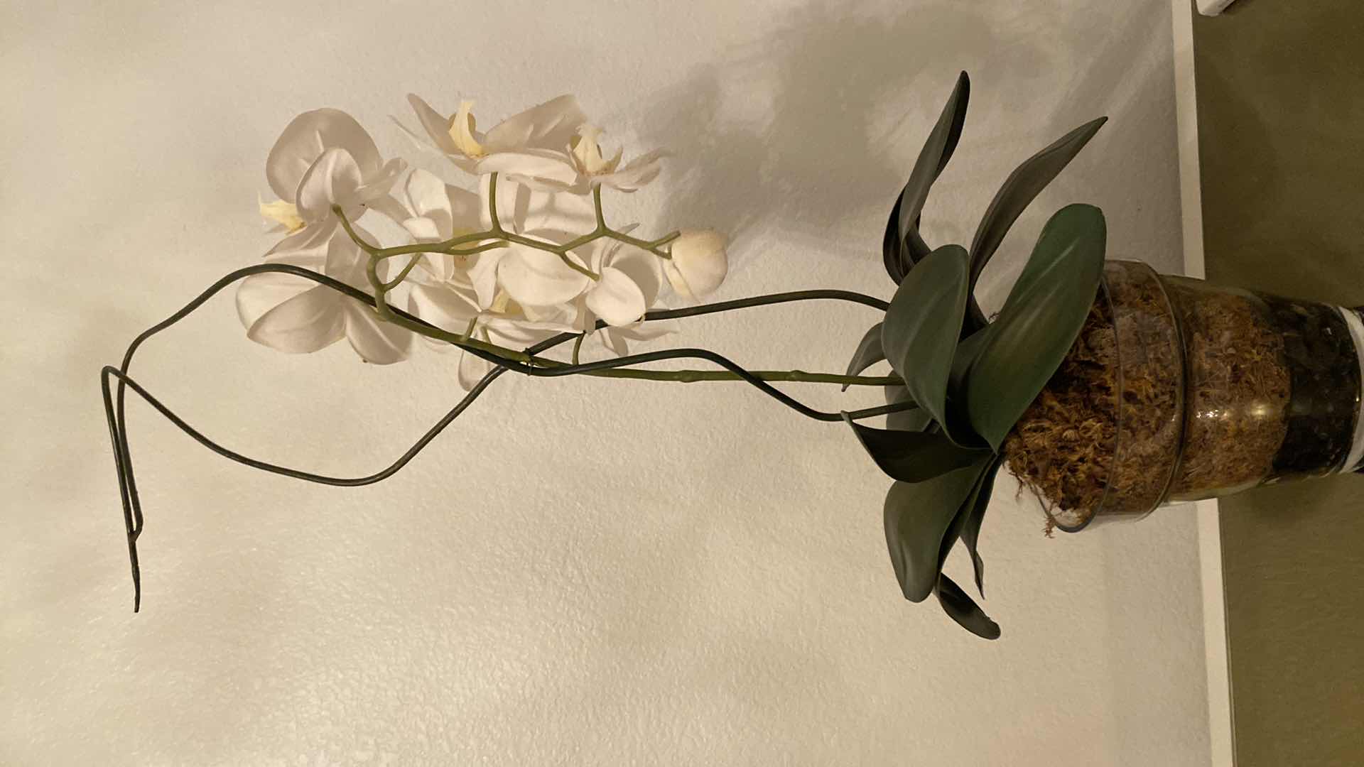 Photo 1 of FAUX ORCHID IN GLASS POT,  8” X 8”, OVERALL H 34 1/2”