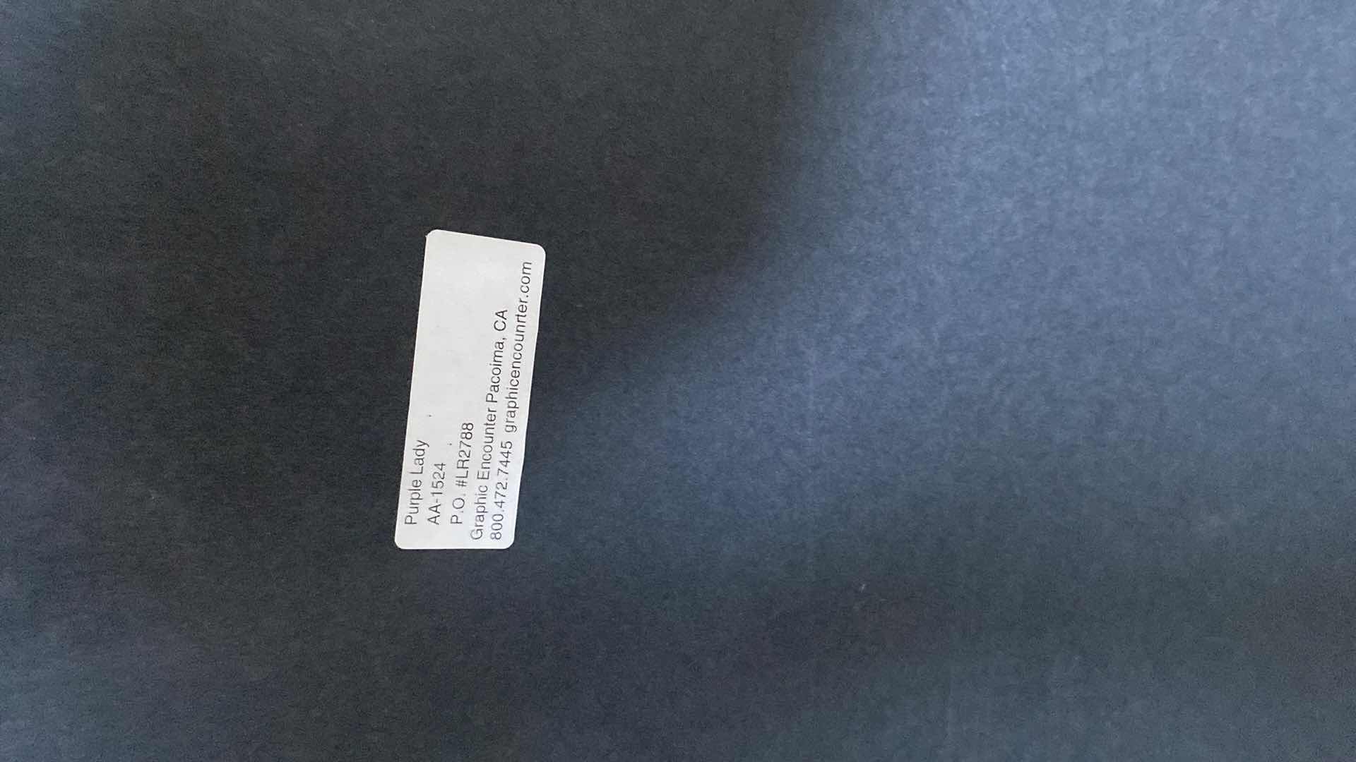 Photo 1 of FRAMED HENRI MATISSE WOMAN IN A PURPLE COAT PRINT FROM WYNN RESORT 19” x 24”