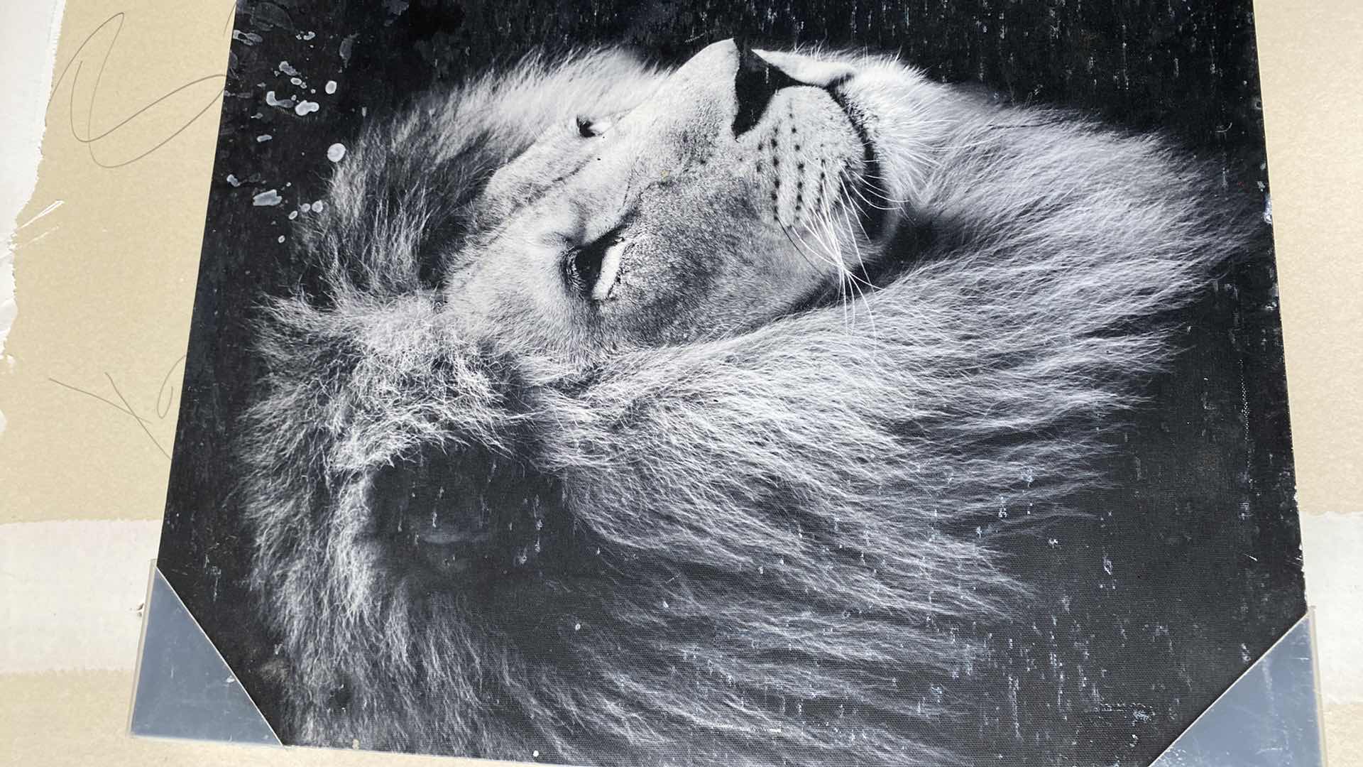 Photo 1 of STRETCHED CANVAS PROVERBS ARTWORK 28” x 20”