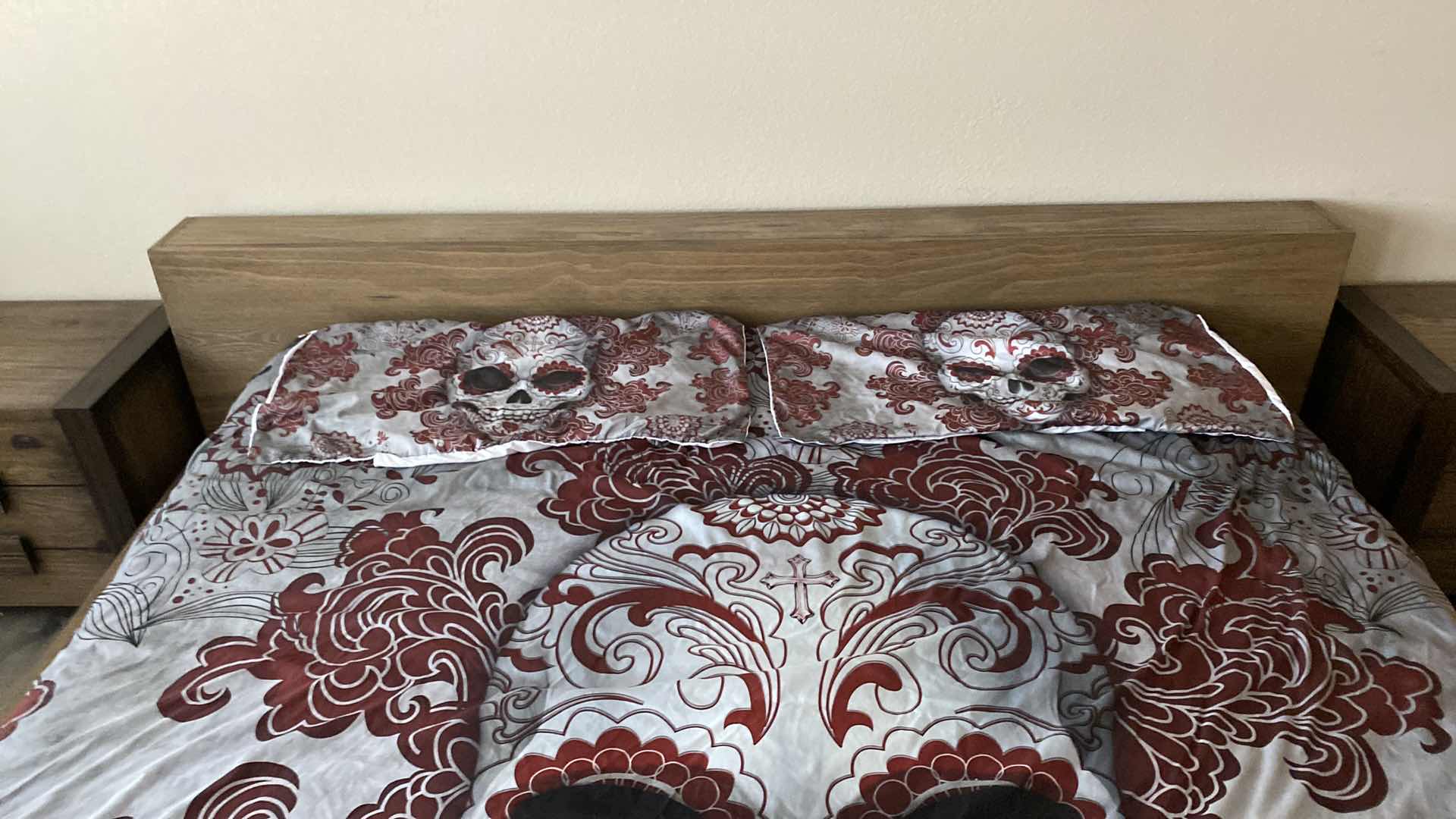 Photo 1 of KING SIZE DUVET COVER WITH SHAMS AND GRAY LIGHTWEIGHT BLANKET