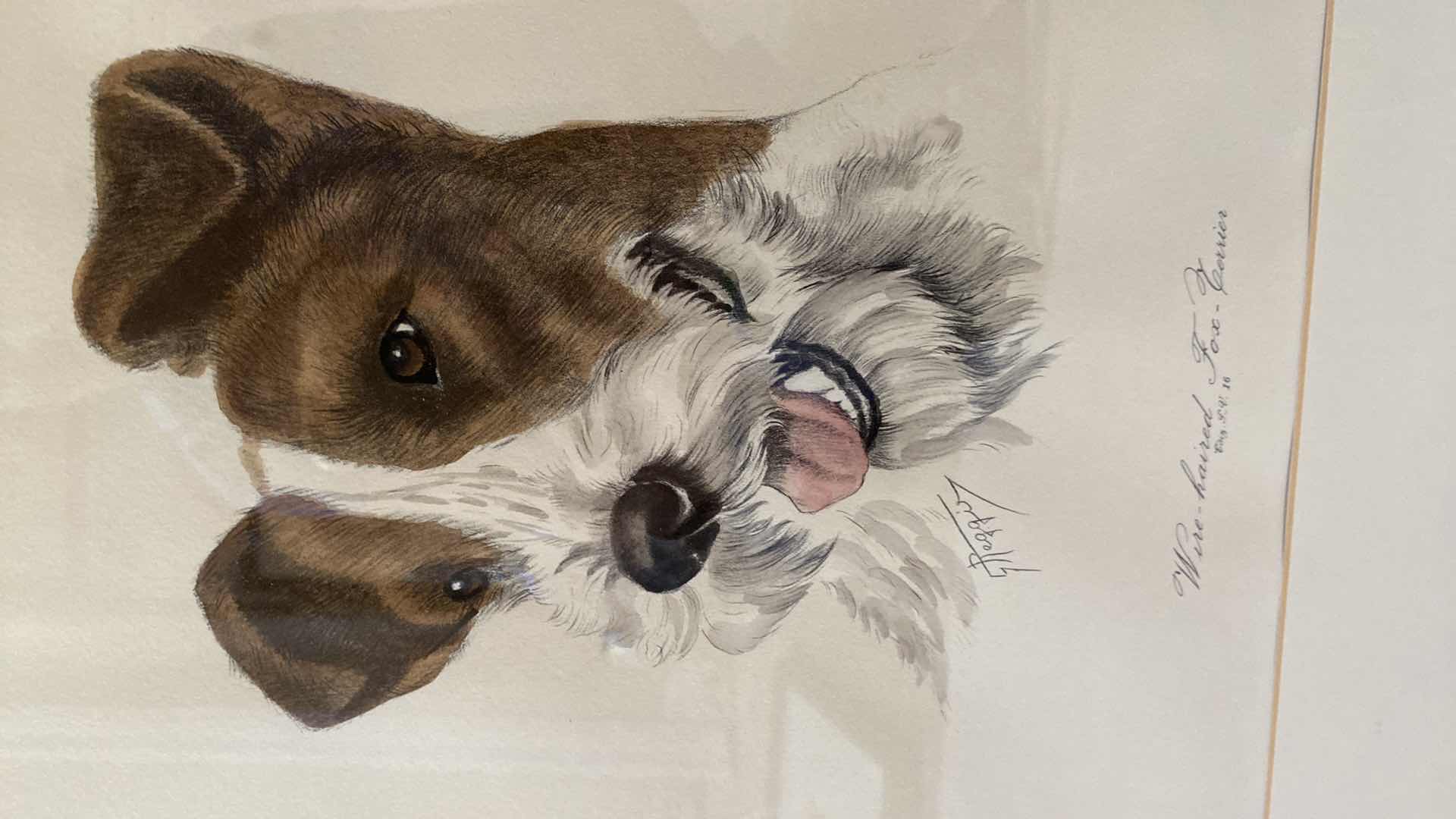 Photo 1 of FRAMED WIRE HAIRED FOX TERRIER ARTWORK ASSORTMENT LARGEST 18” x 22”