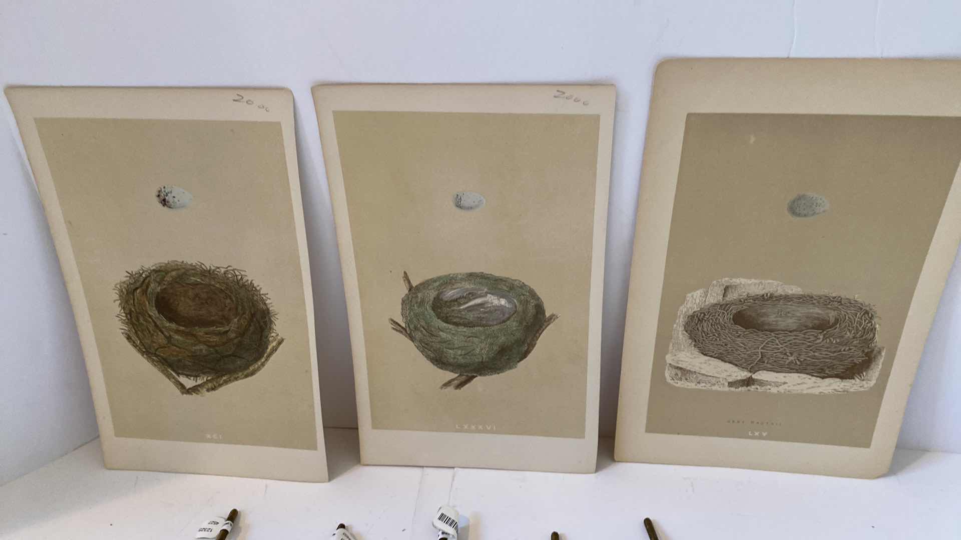 Photo 2 of CABINET PULLS AND 3 NEST PRINTS ARTWORK UNFRAMED 6 1/2” x 10”