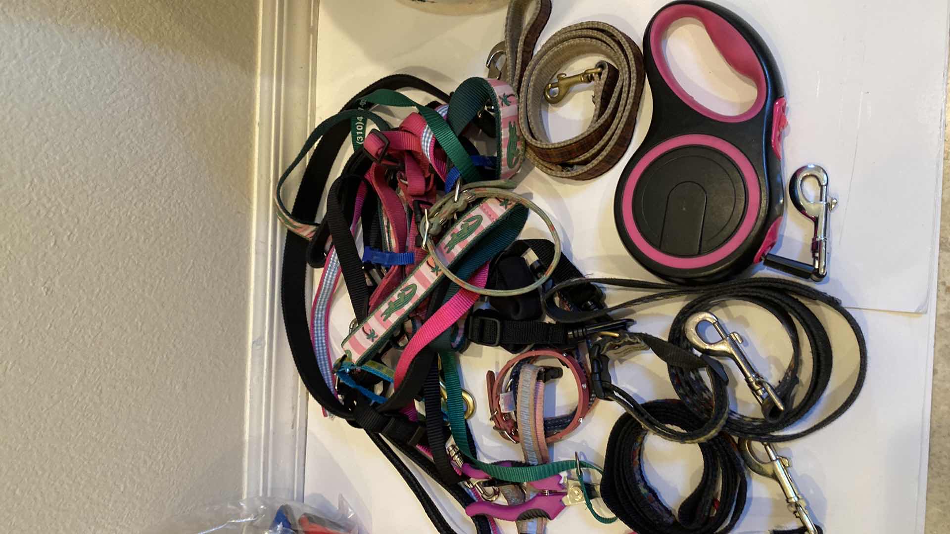 Photo 4 of DOG ASSORTMENT