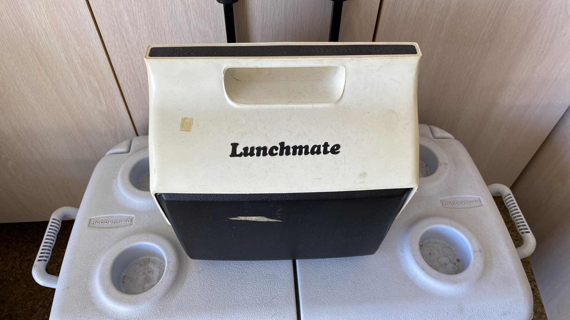 Photo 1 of PAIR OF ICE CHESTS