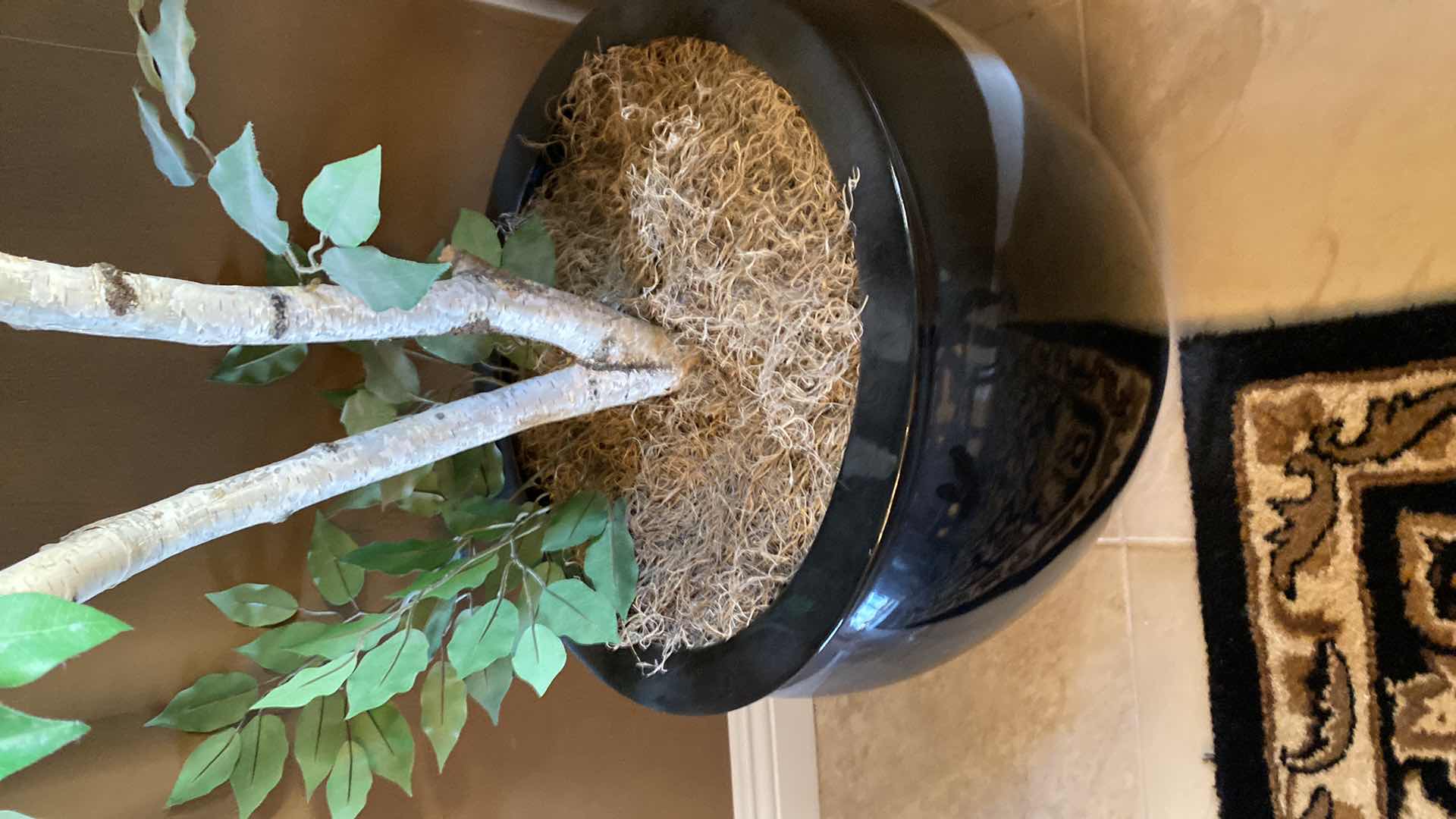 Photo 1 of FAUX FICUS TREE 8’ IN PLASTIC POT