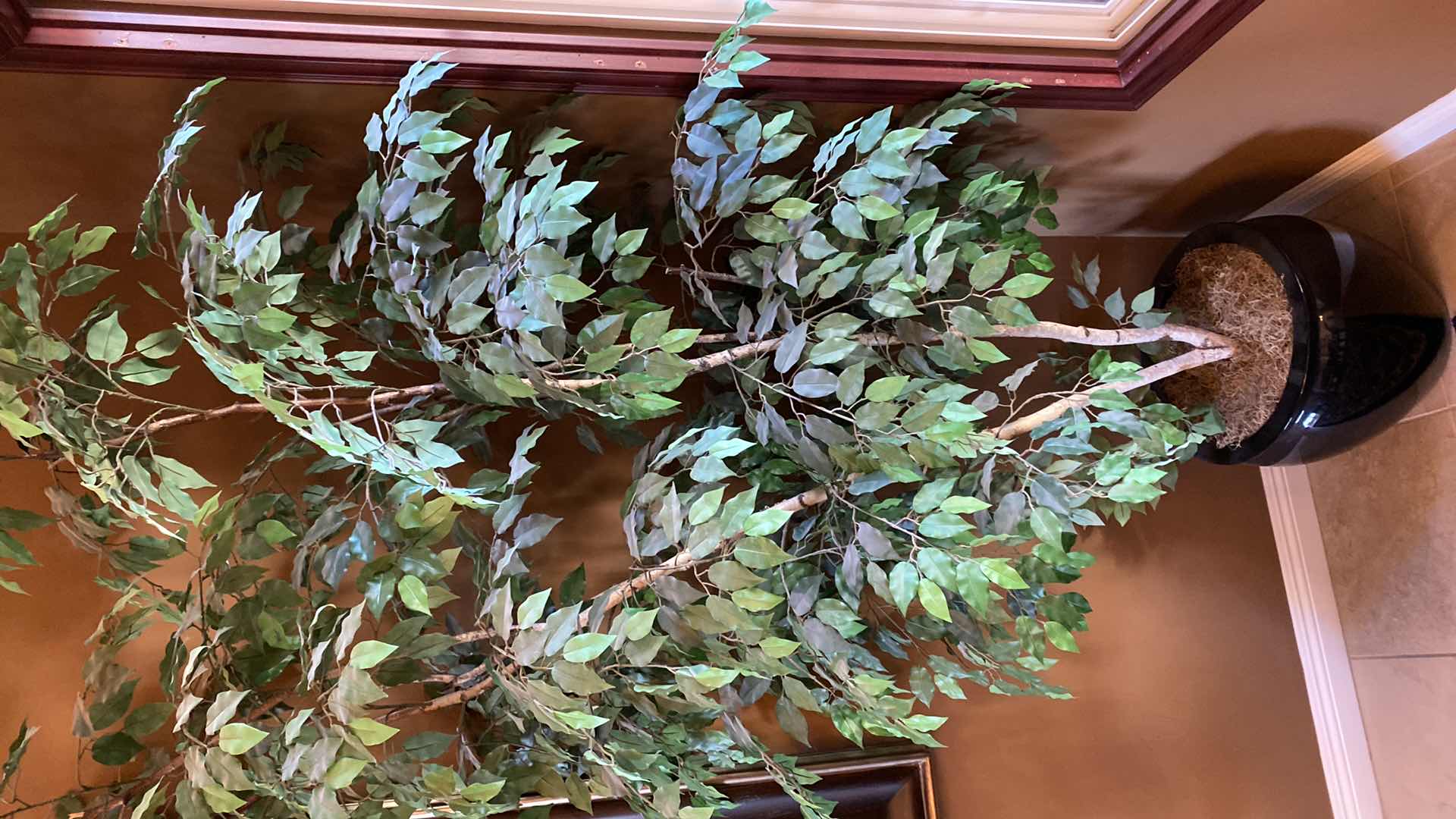 Photo 1 of FAUX FICUS TREE 8’ IN PLASTIC POT