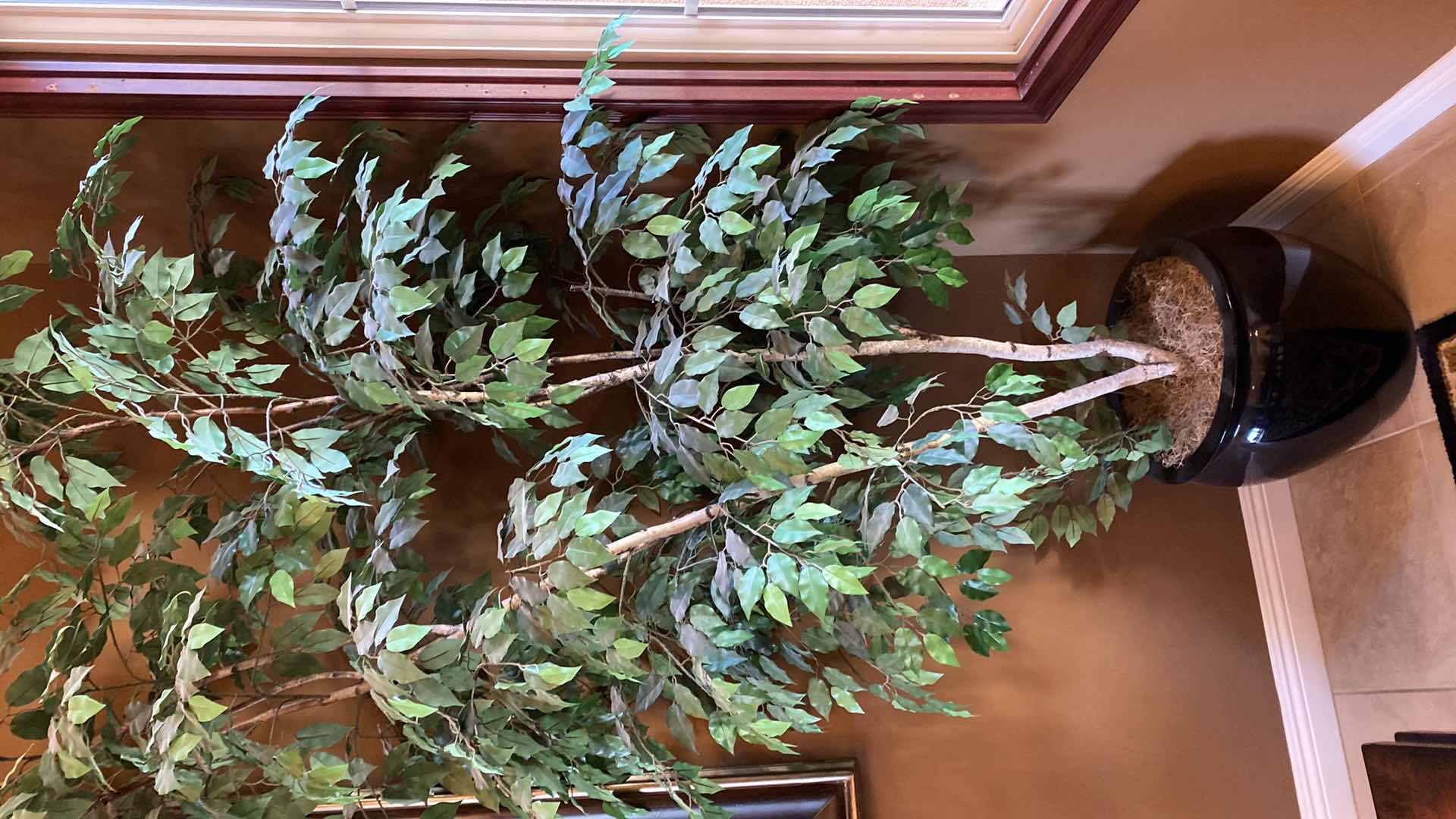 Photo 1 of FAUX FICUS TREE 8’ IN PLASTIC POT