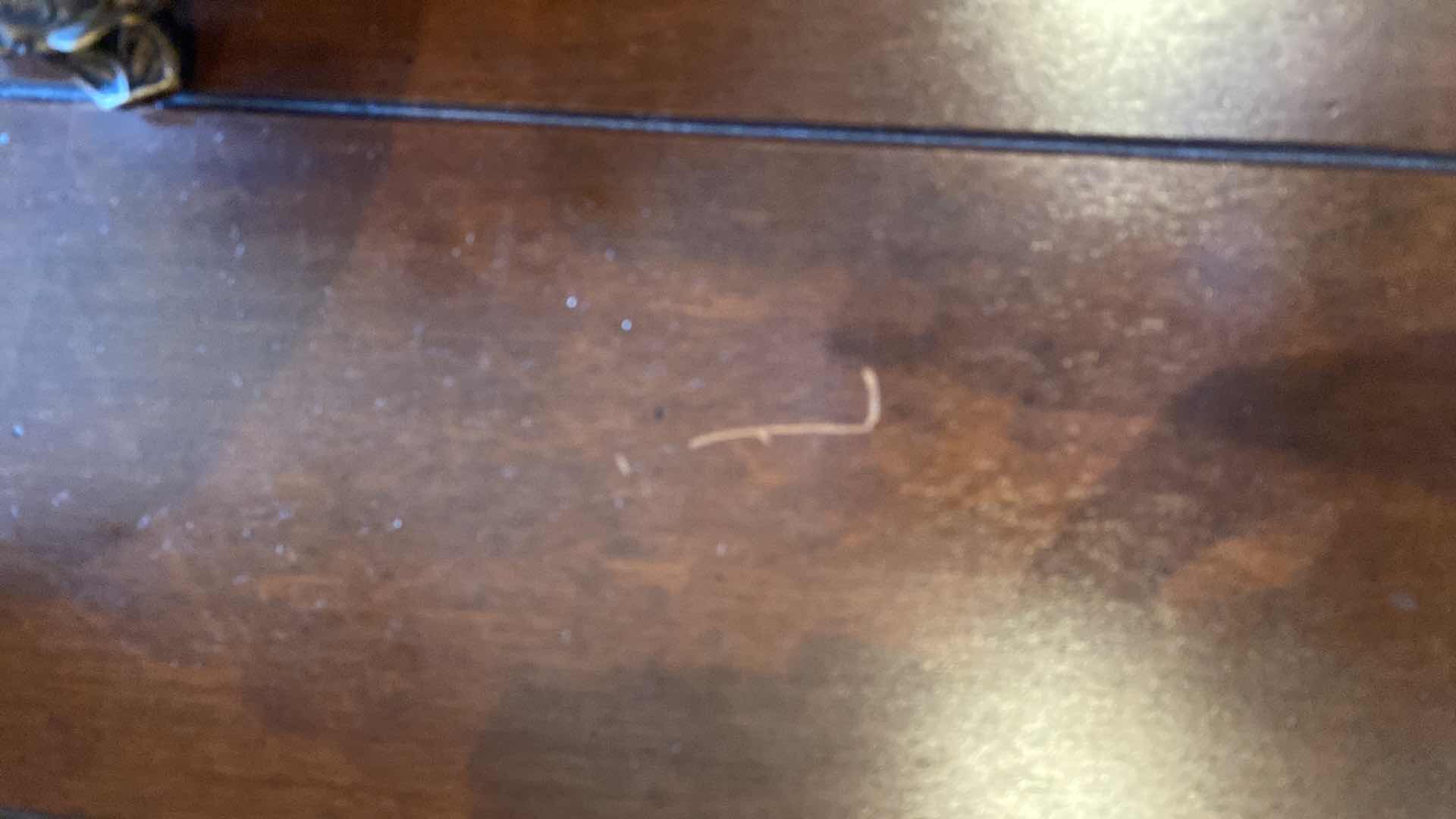 Photo 1 of WOOD COCKTAIL TABLE ( DECOR NOT INCLUDED) 45” x 59”