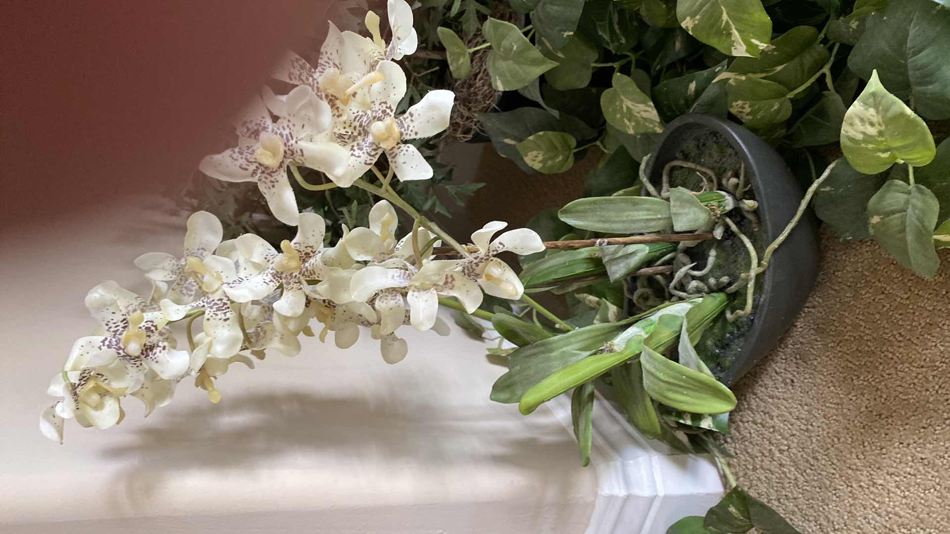 Photo 1 of 5 FAUX PLANTS