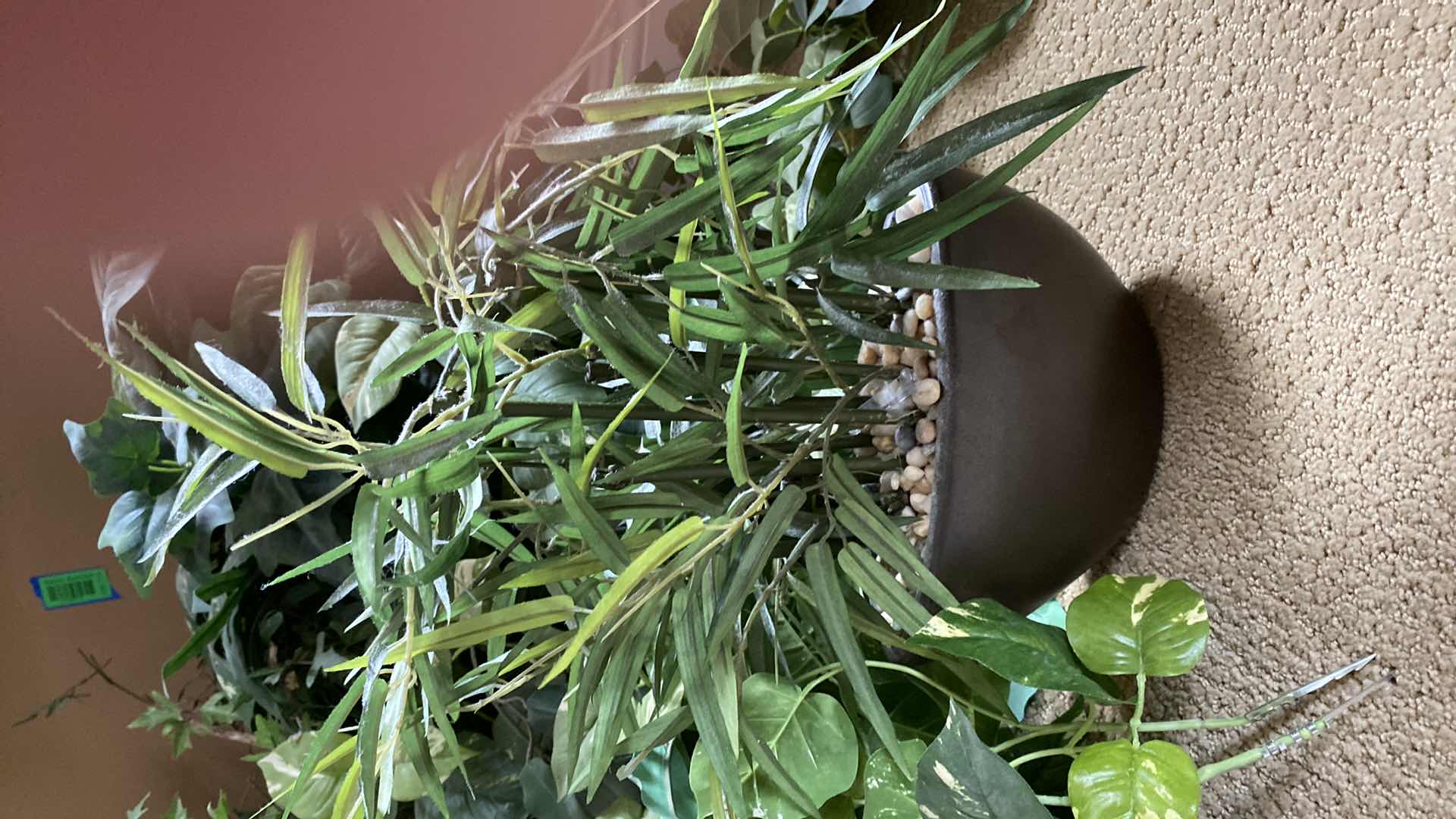 Photo 1 of 5 FAUX PLANTS