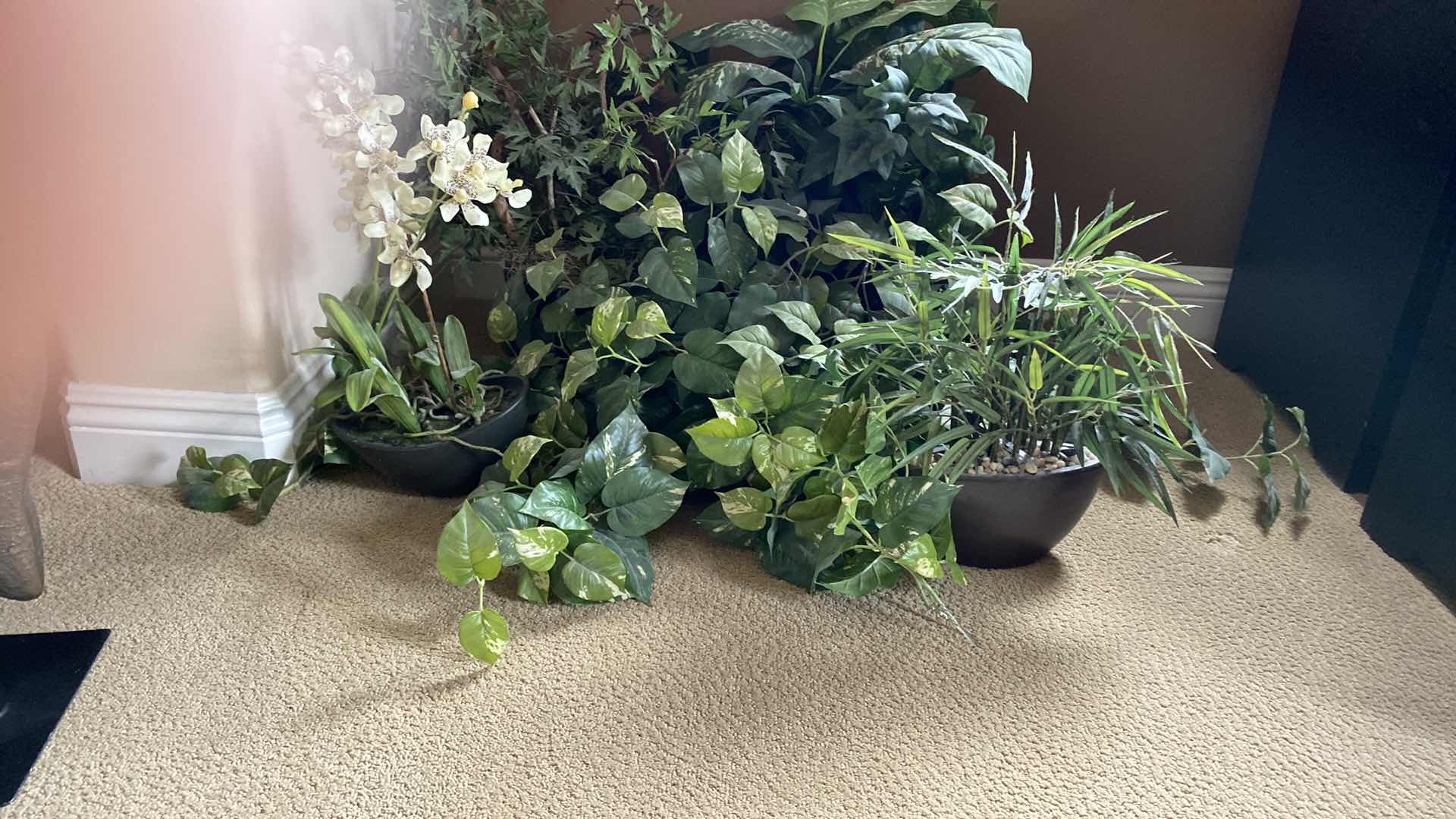 Photo 1 of 5 FAUX PLANTS