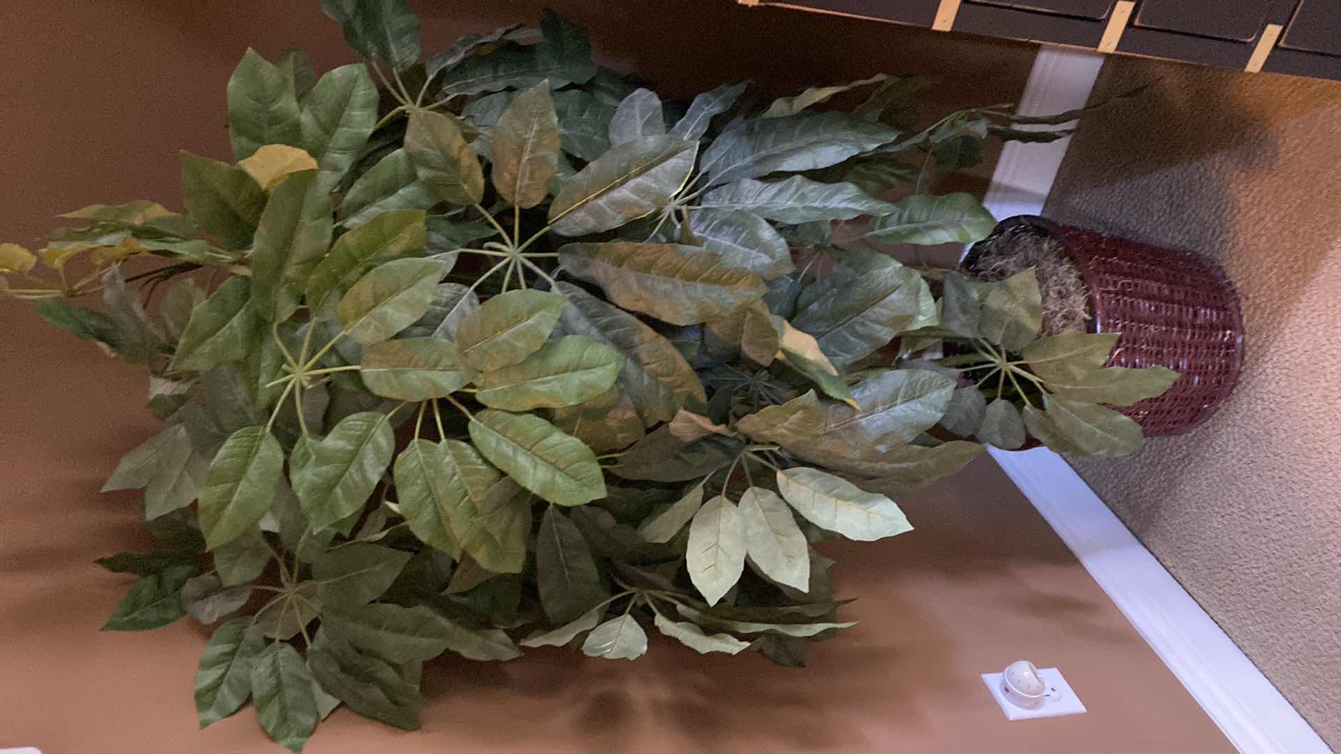 Photo 1 of FAUX TREE 5’