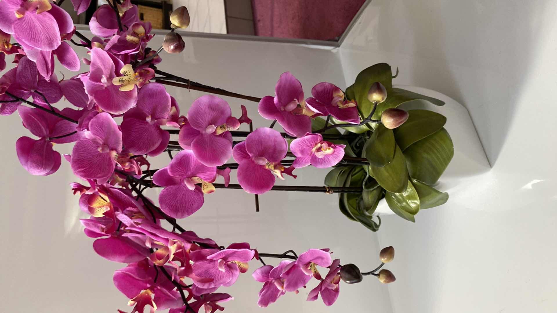 Photo 1 of FAUX ORCHID IN WHITE CERAMIC POT H 28”