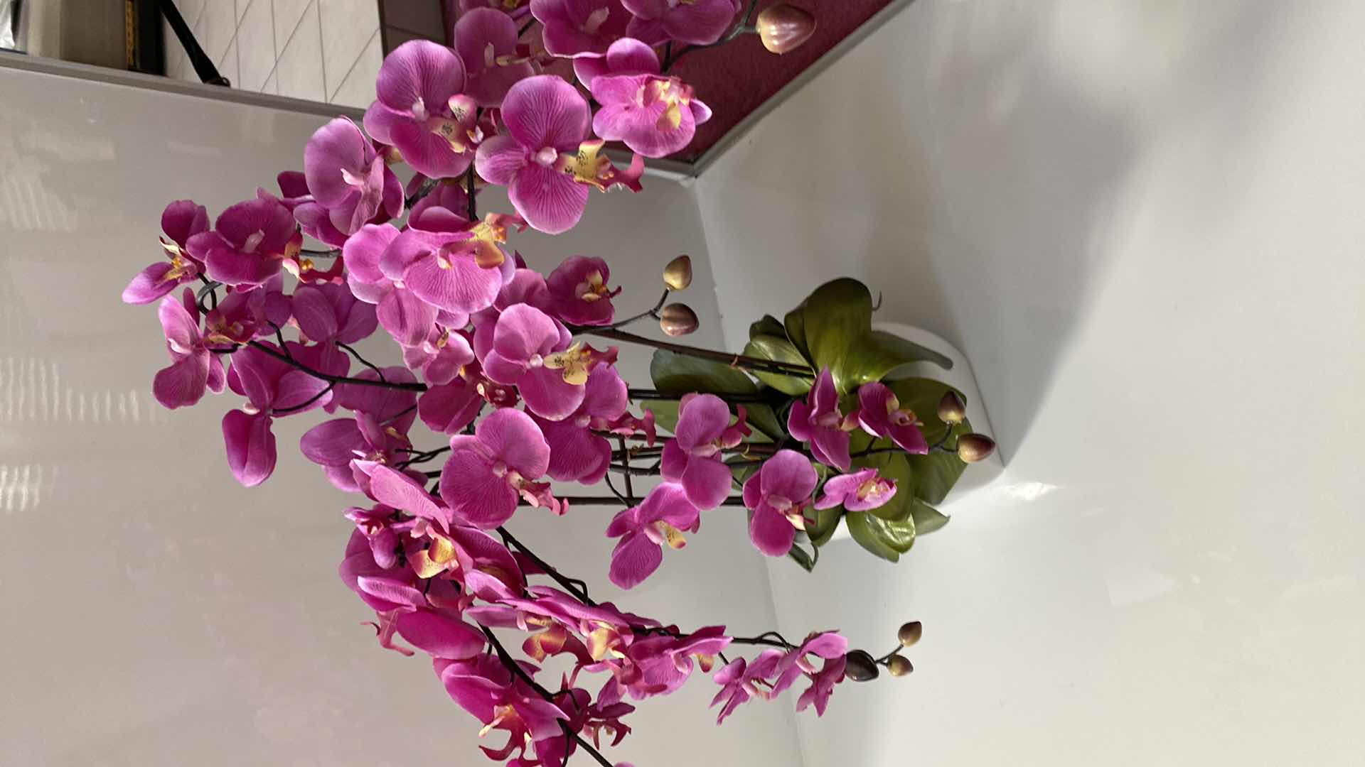 Photo 1 of FAUX ORCHID IN WHITE CERAMIC POT H 28”