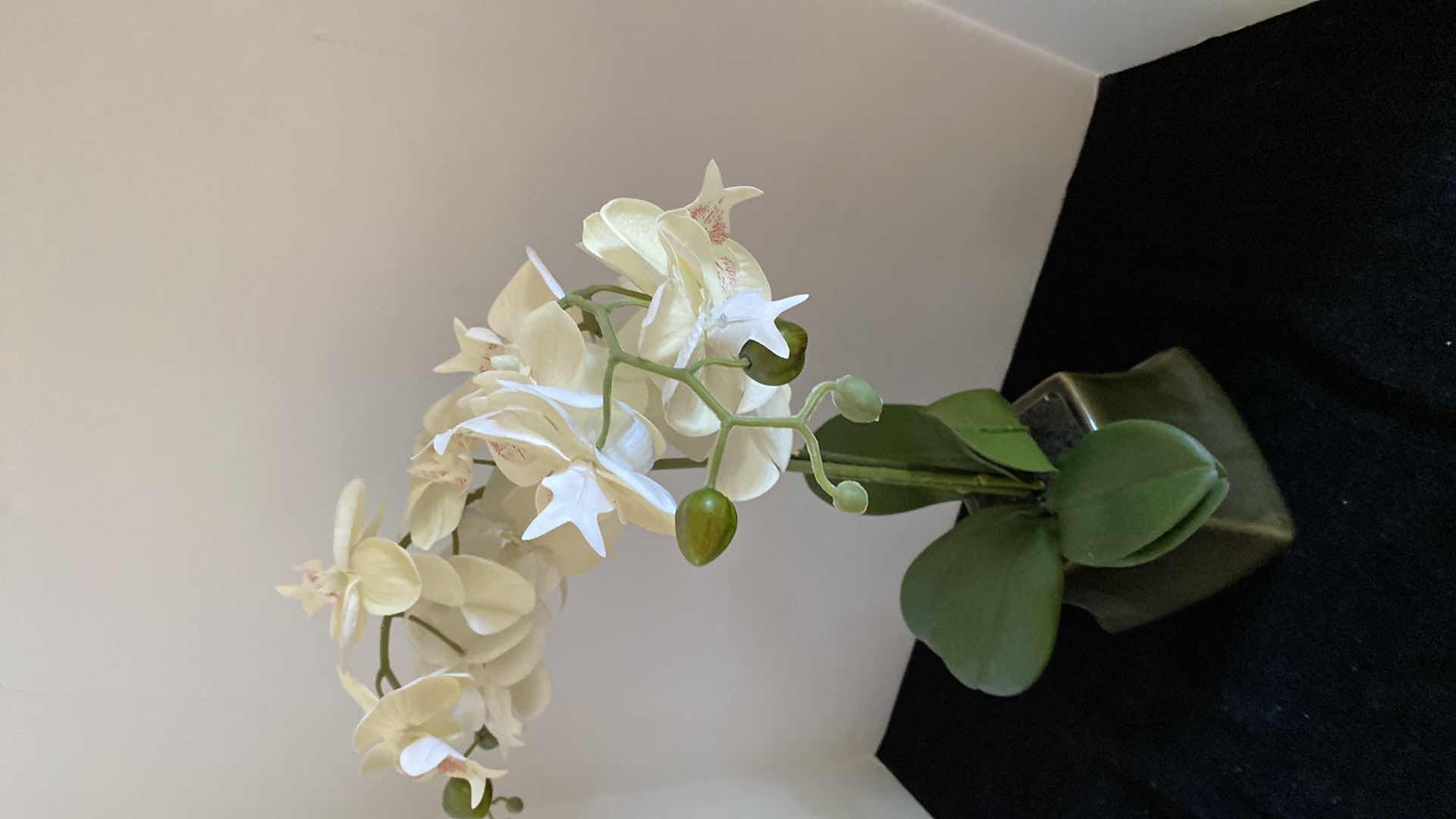 Photo 1 of FAUX ORCHID IN CERAMIC POT