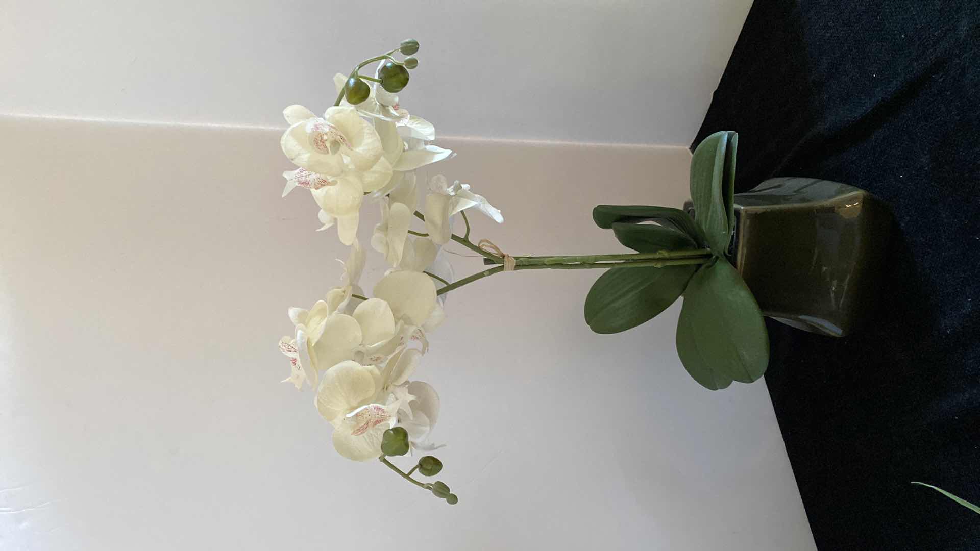 Photo 1 of FAUX ORCHID IN CERAMIC POT