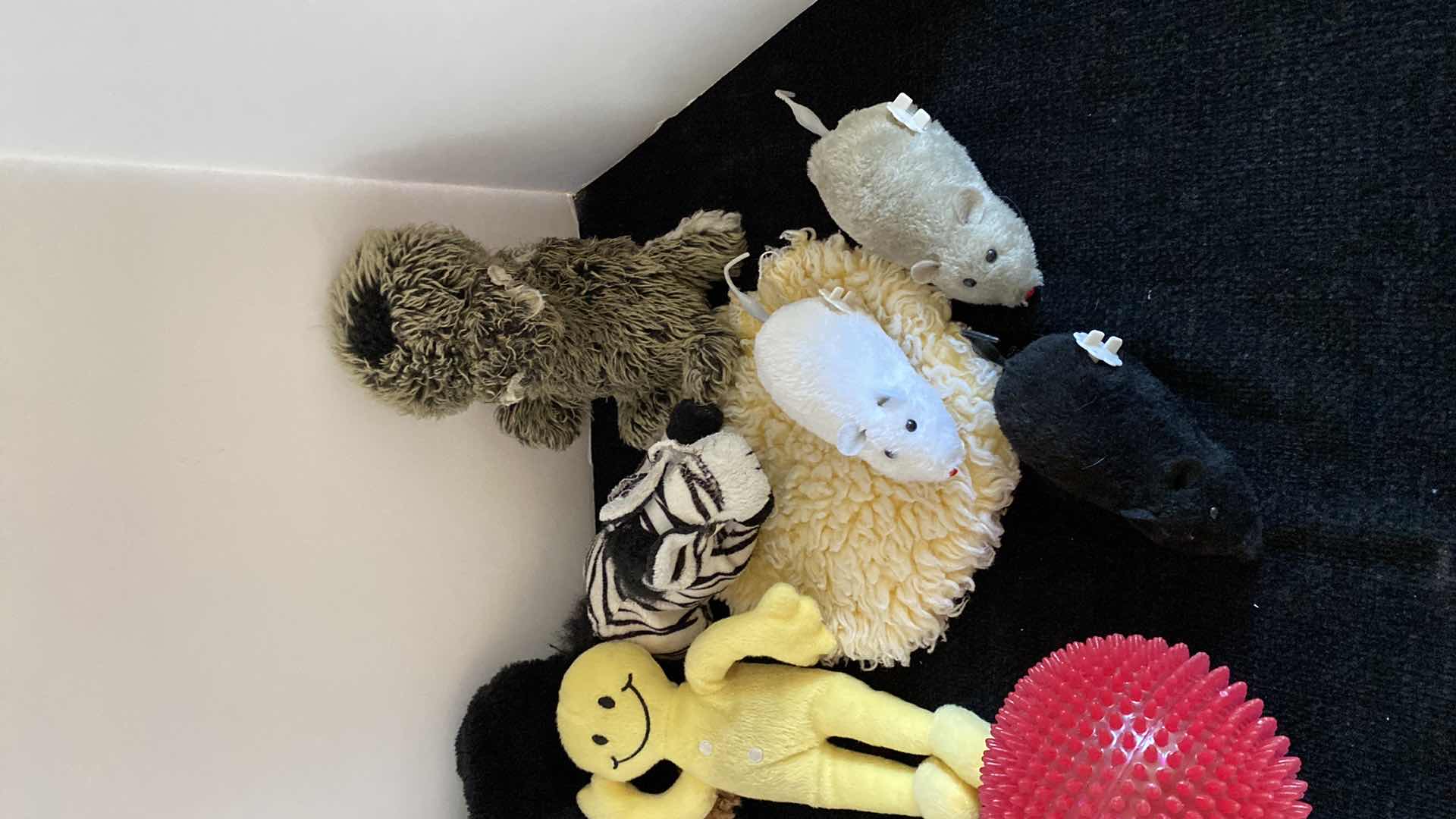 Photo 1 of DOG & CAT TOYS