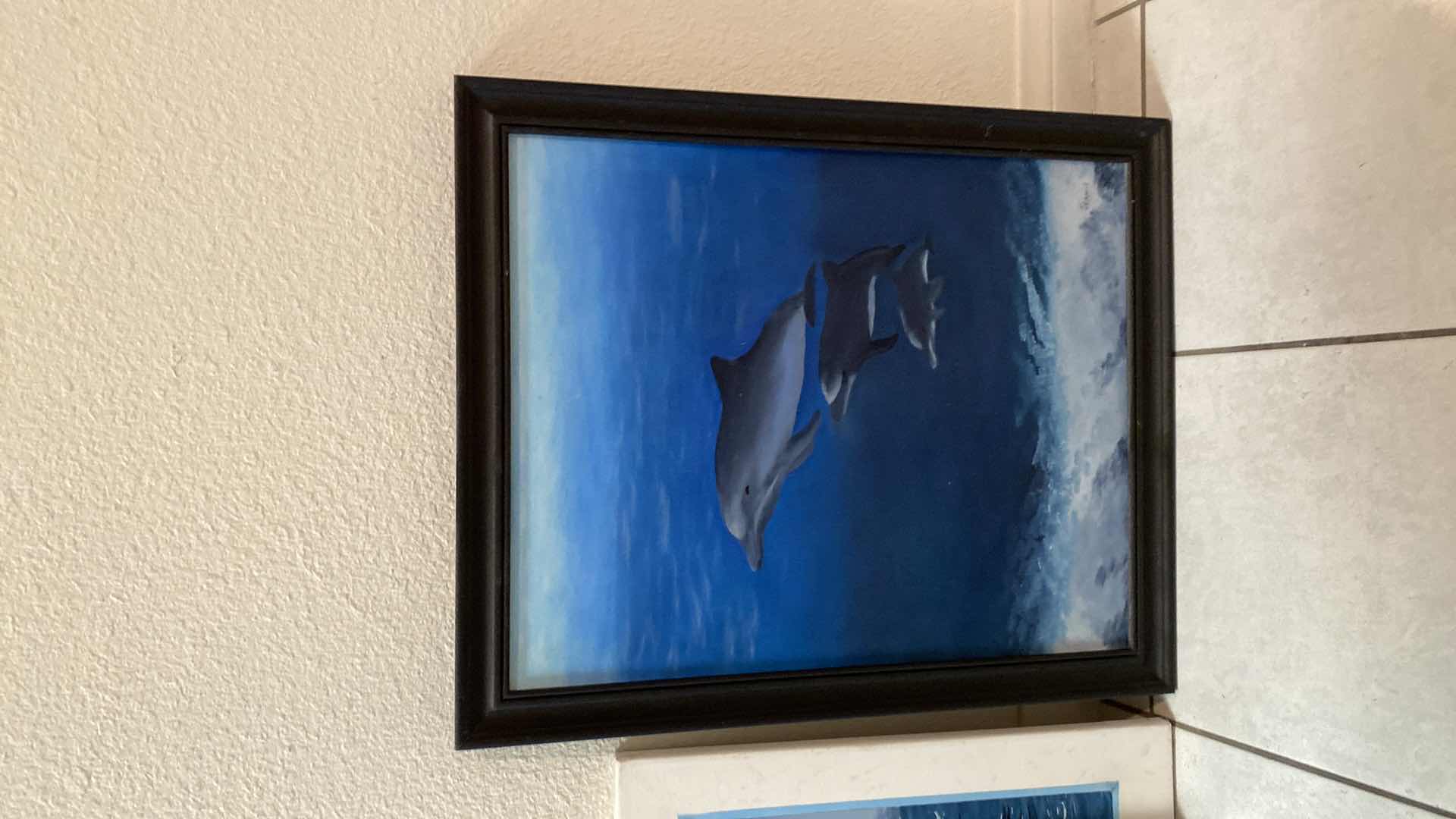 Photo 1 of ASSORTED SEA LIFE ARTWORK LARGEST 24” x 18”