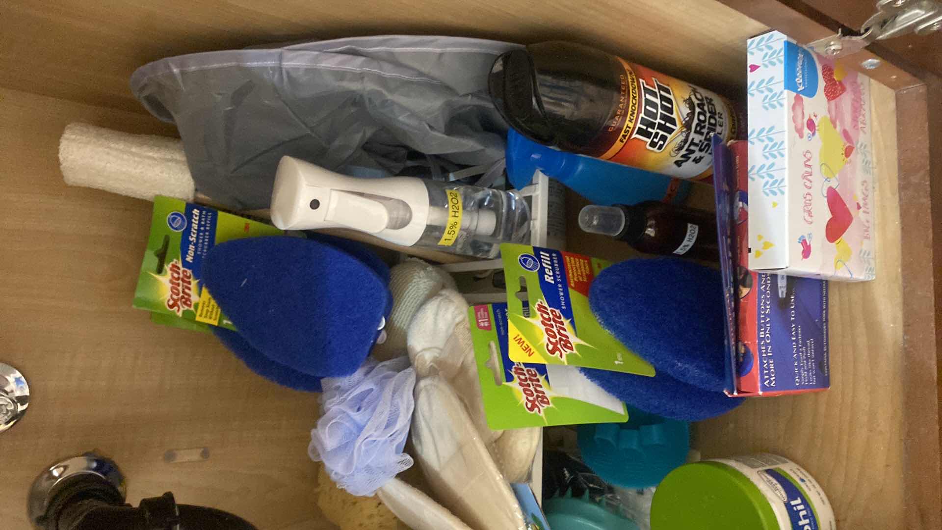 Photo 1 of CONTENTS IN CABINET MASTER BATH UNDER SINK