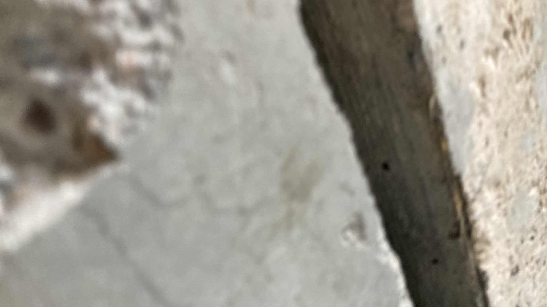 Photo 1 of SPIRCH CHILDREN’S UNICORN & STARS ACCENTED WHITE VANITY DESK