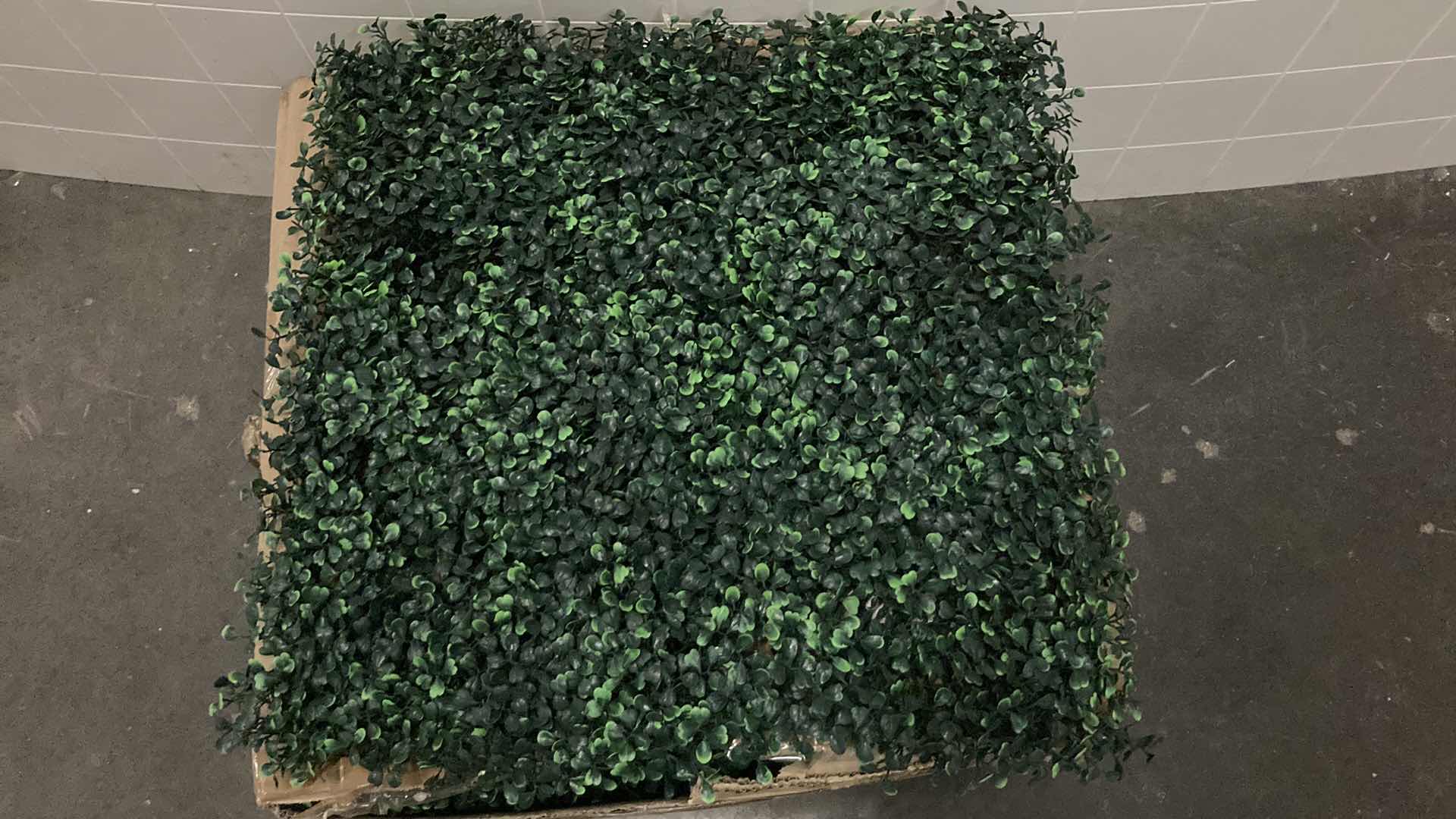 Photo 1 of NEW SUNNYGLADE BOXWOOD HEDGE PANELS (APPROX 12PC) 20” X 20”