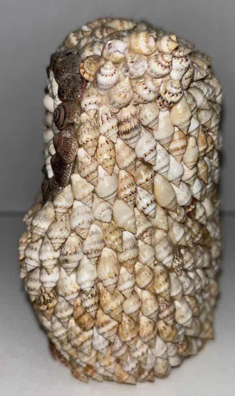 Photo 1 of MID CENTURY SEASHELL OWL STATUE DECOR 3” X 4.25” H5.25”