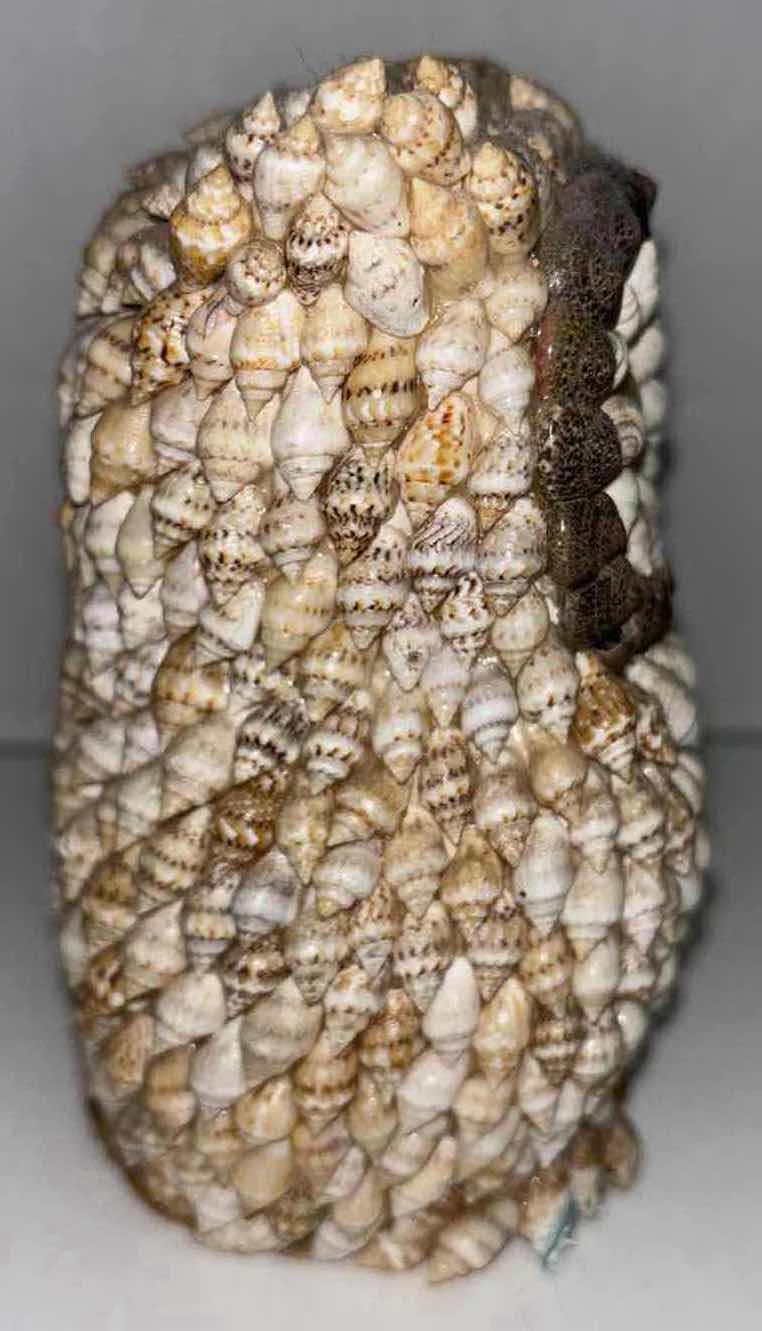Photo 1 of MID CENTURY SEASHELL OWL STATUE DECOR 3” X 4.25” H5.25”