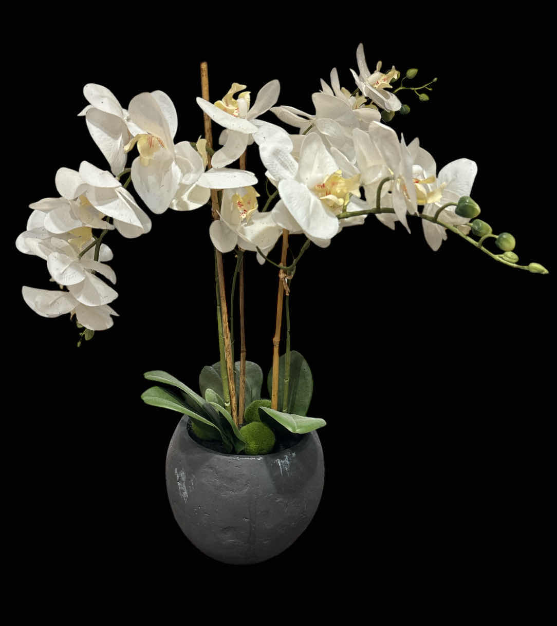 Photo 1 of 22” FAUX ORCHID POTTED PLANT, WHITE