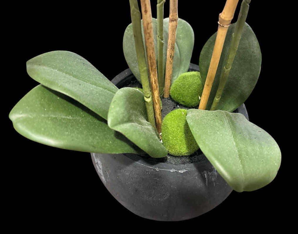 Photo 1 of 22” FAUX ORCHID POTTED PLANT, WHITE