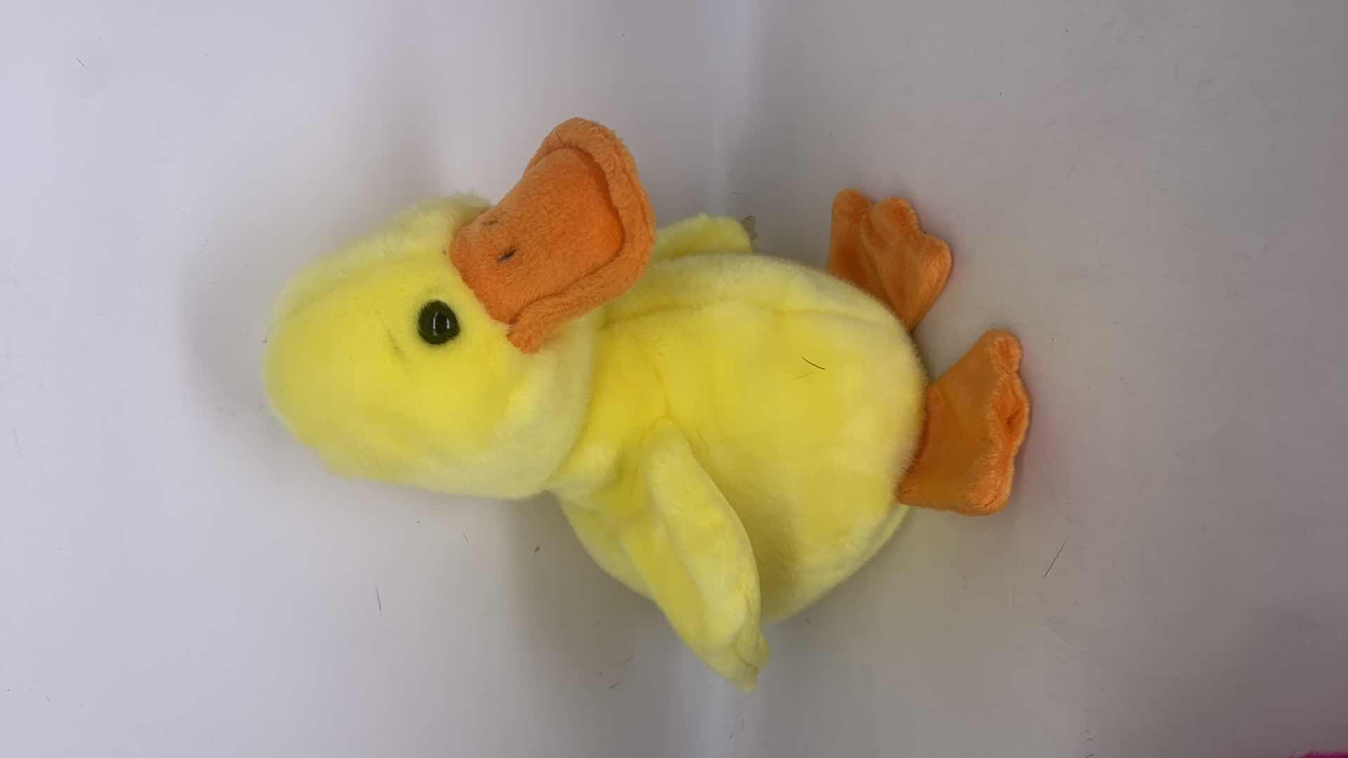 Photo 1 of THREE NEW WITH TAGS BEANIE BUDDIES