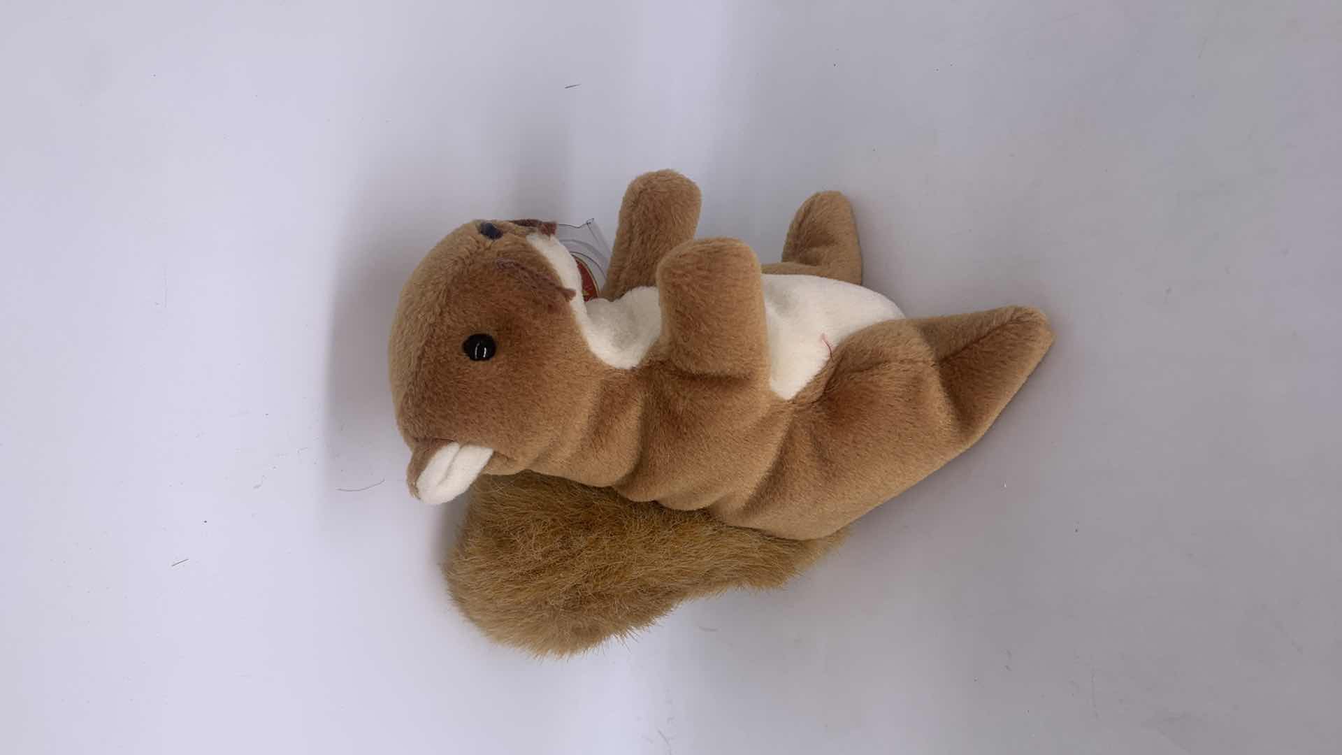 Photo 1 of FIVE NWT COLLECTIBLE TY BEANIES.