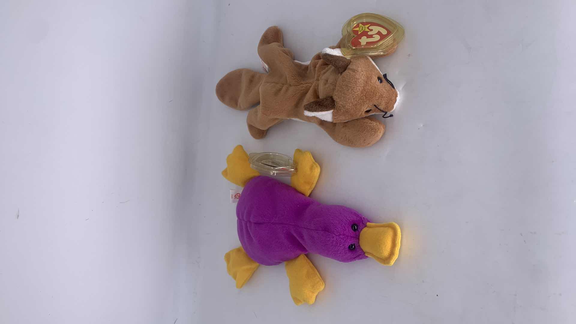 Photo 4 of FIVE NWT COLLECTIBLE TY BEANIES.