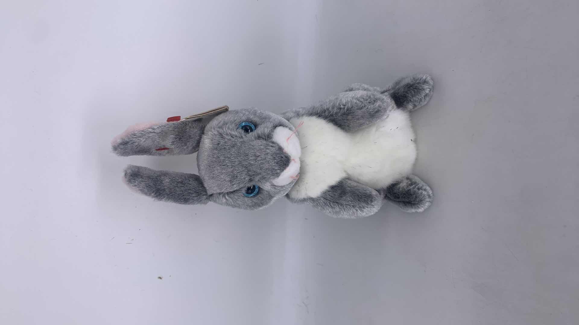 Photo 1 of FIVE NWT COLLECTIBLE TY BEANIES.