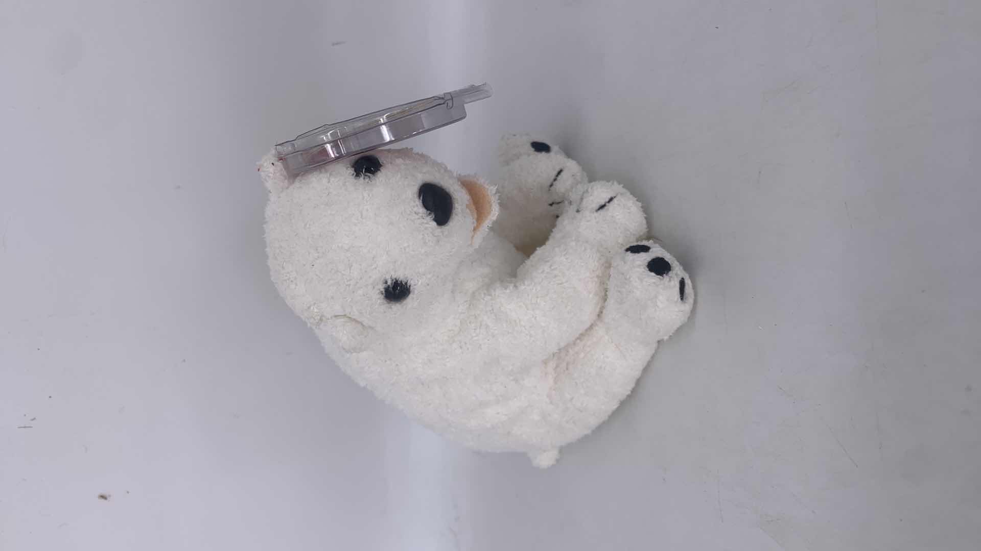 Photo 1 of FIVE NWT COLLECTIBLE TY BEANIES.