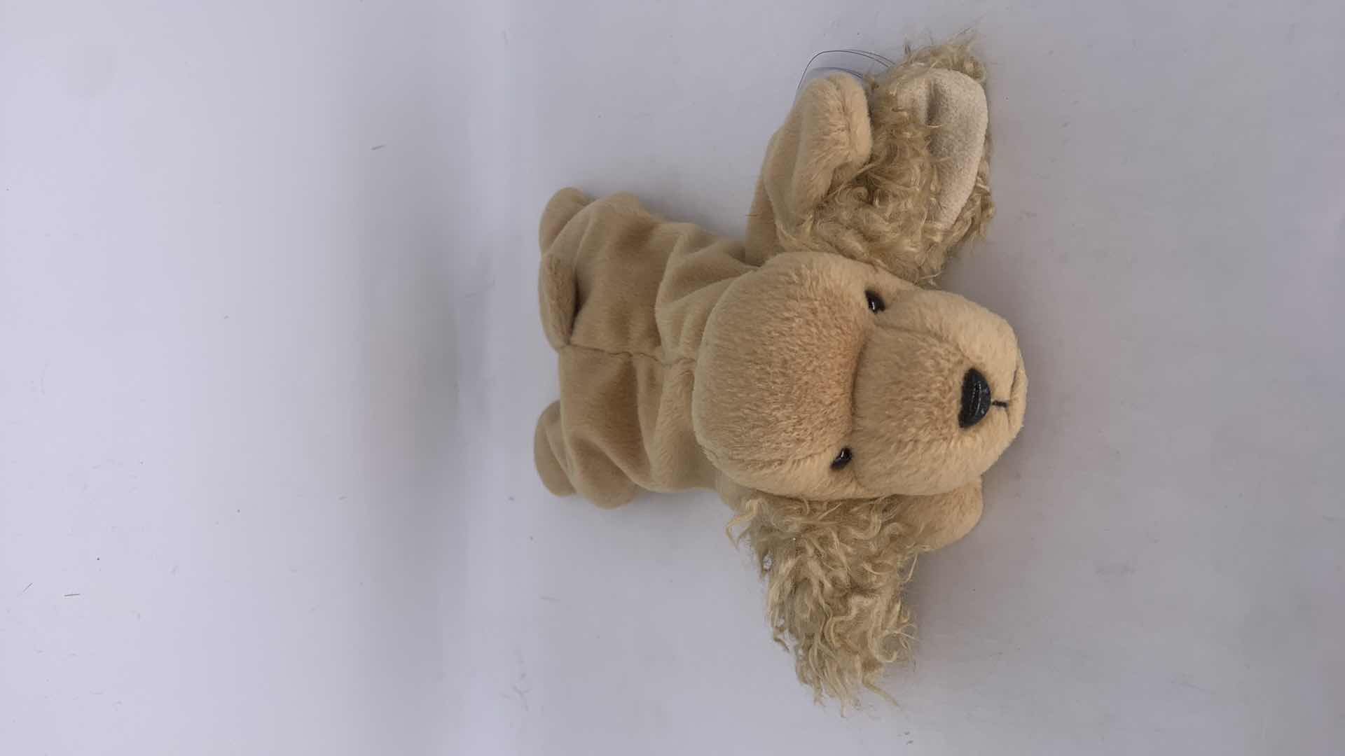 Photo 1 of FIVE NWT COLLECTIBLE TY BEANIES.