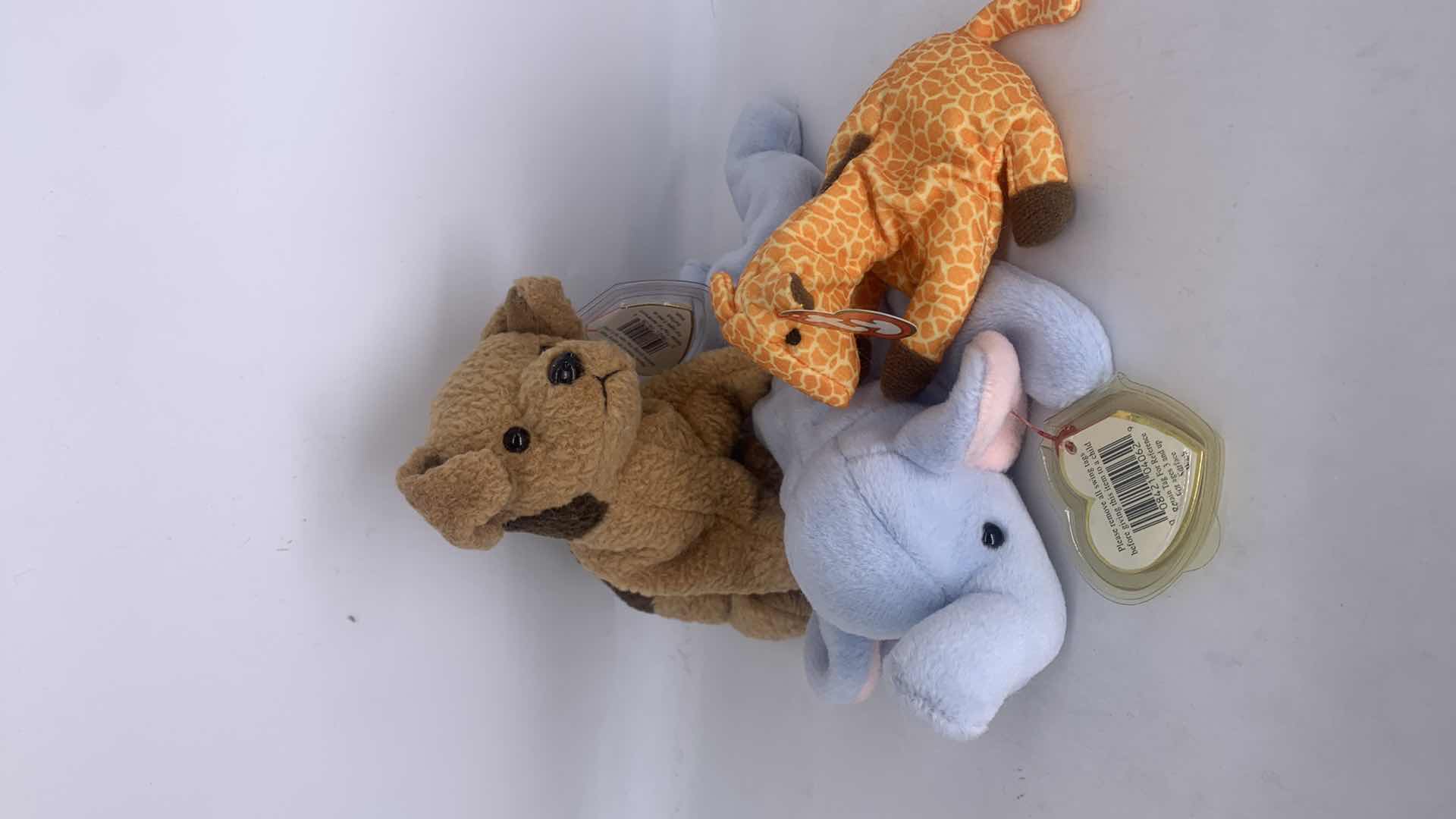 Photo 3 of FIVE NWT COLLECTIBLE TY BEANIES.