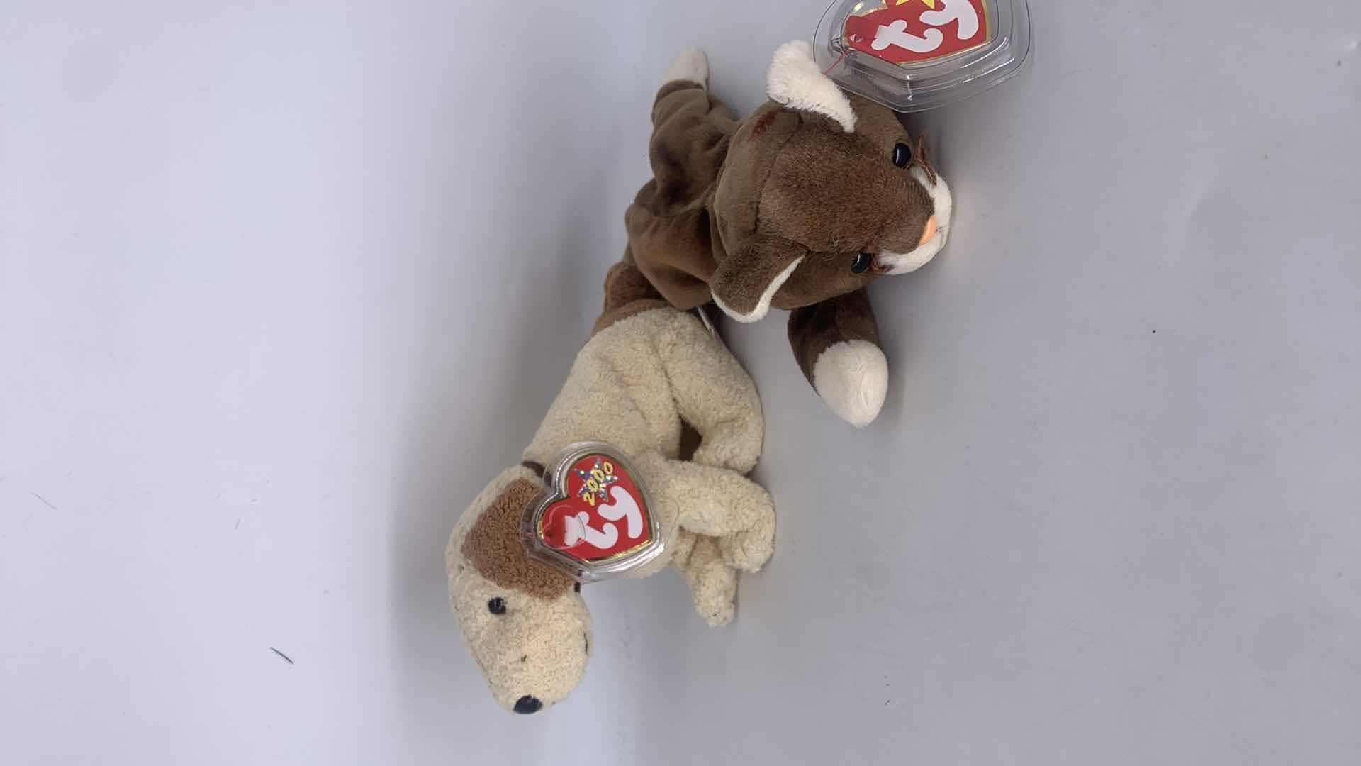 Photo 1 of FIVE NWT COLLECTIBLE TY BEANIES.